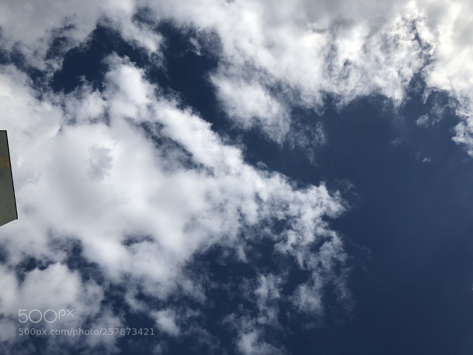 Apple iPhone 8 Plus sample photo. White and blue. photography