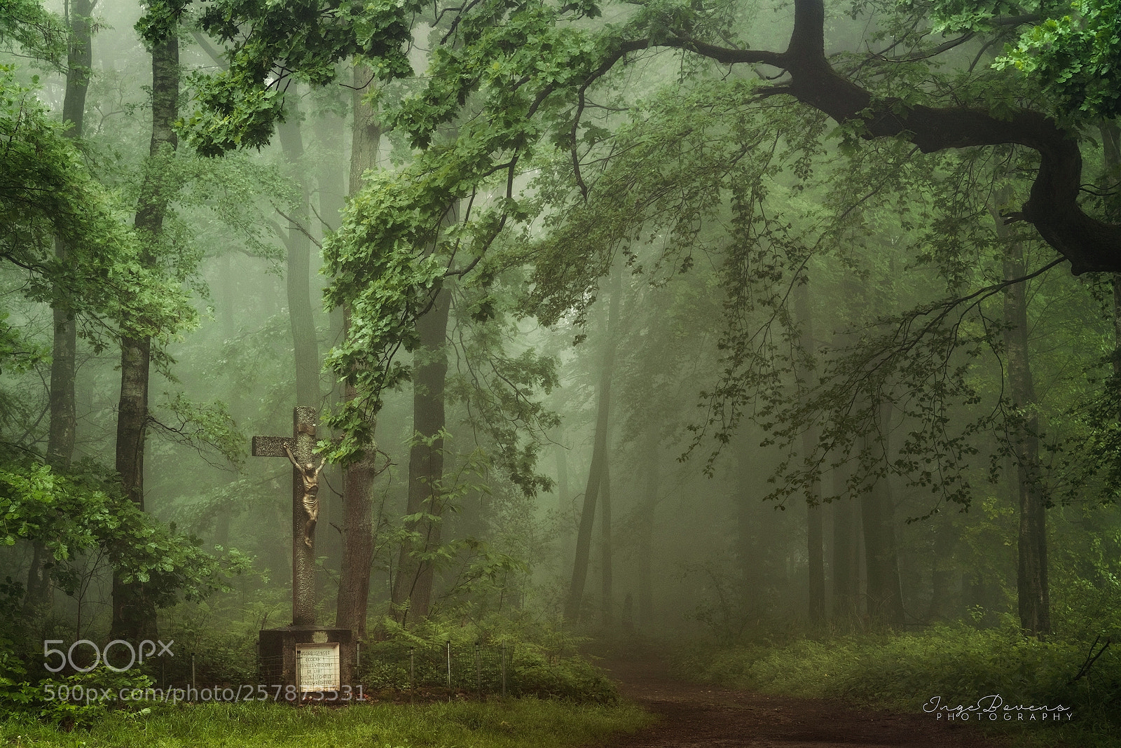 Nikon D750 sample photo. Sacred ground. photography