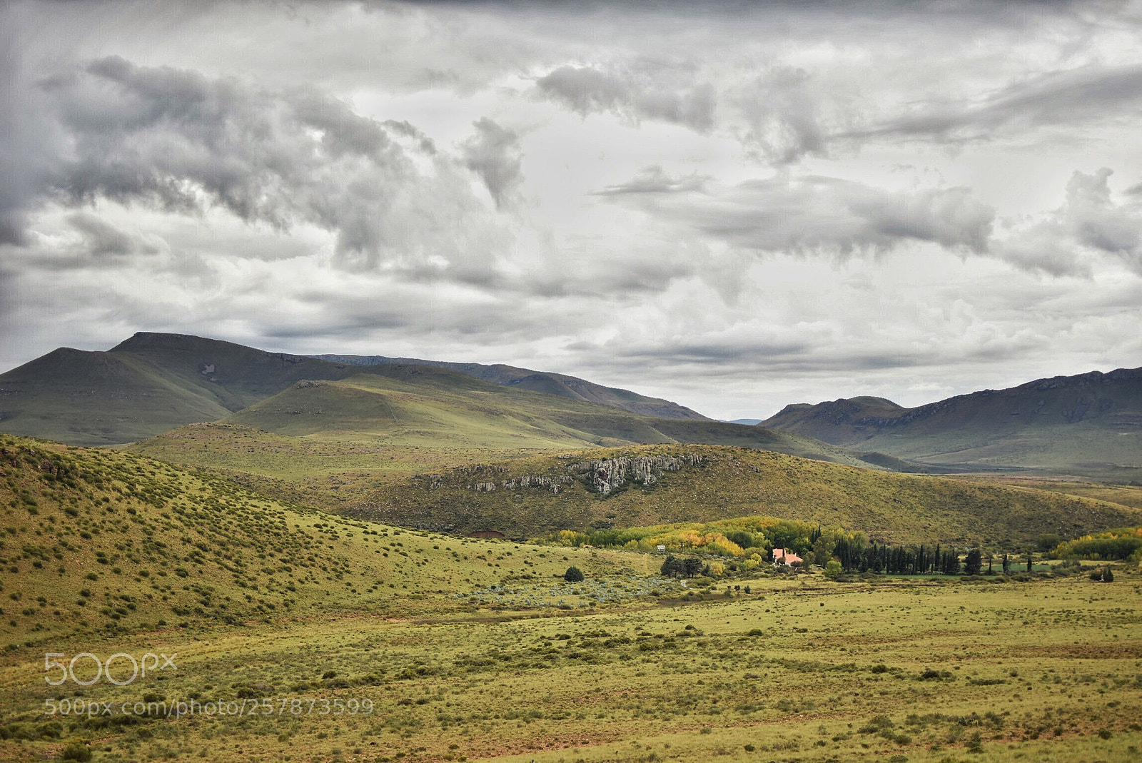 Nikon D7200 sample photo. South africa photography