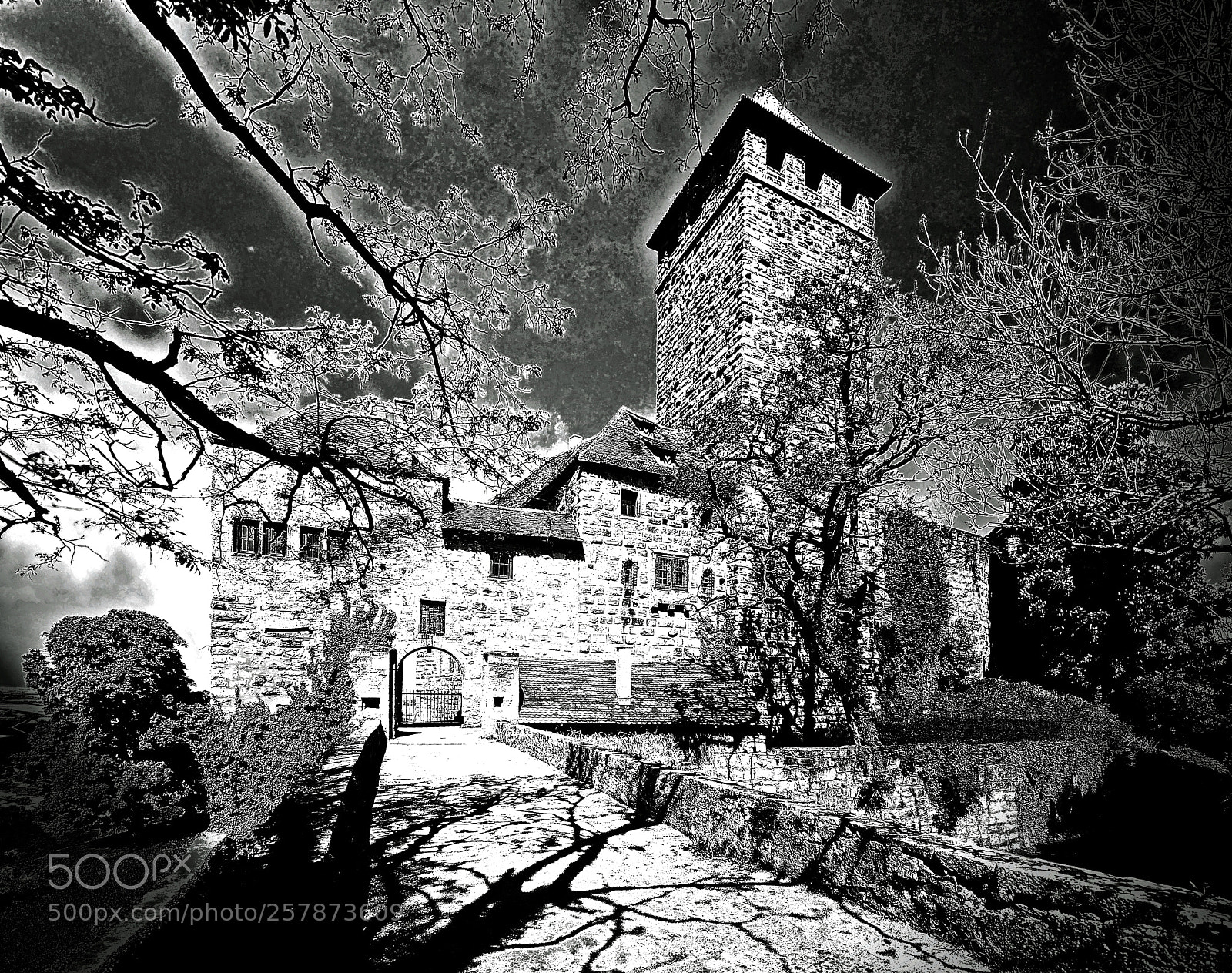 Nikon D700 sample photo. Hallo...hier spricht edgar wallace photography
