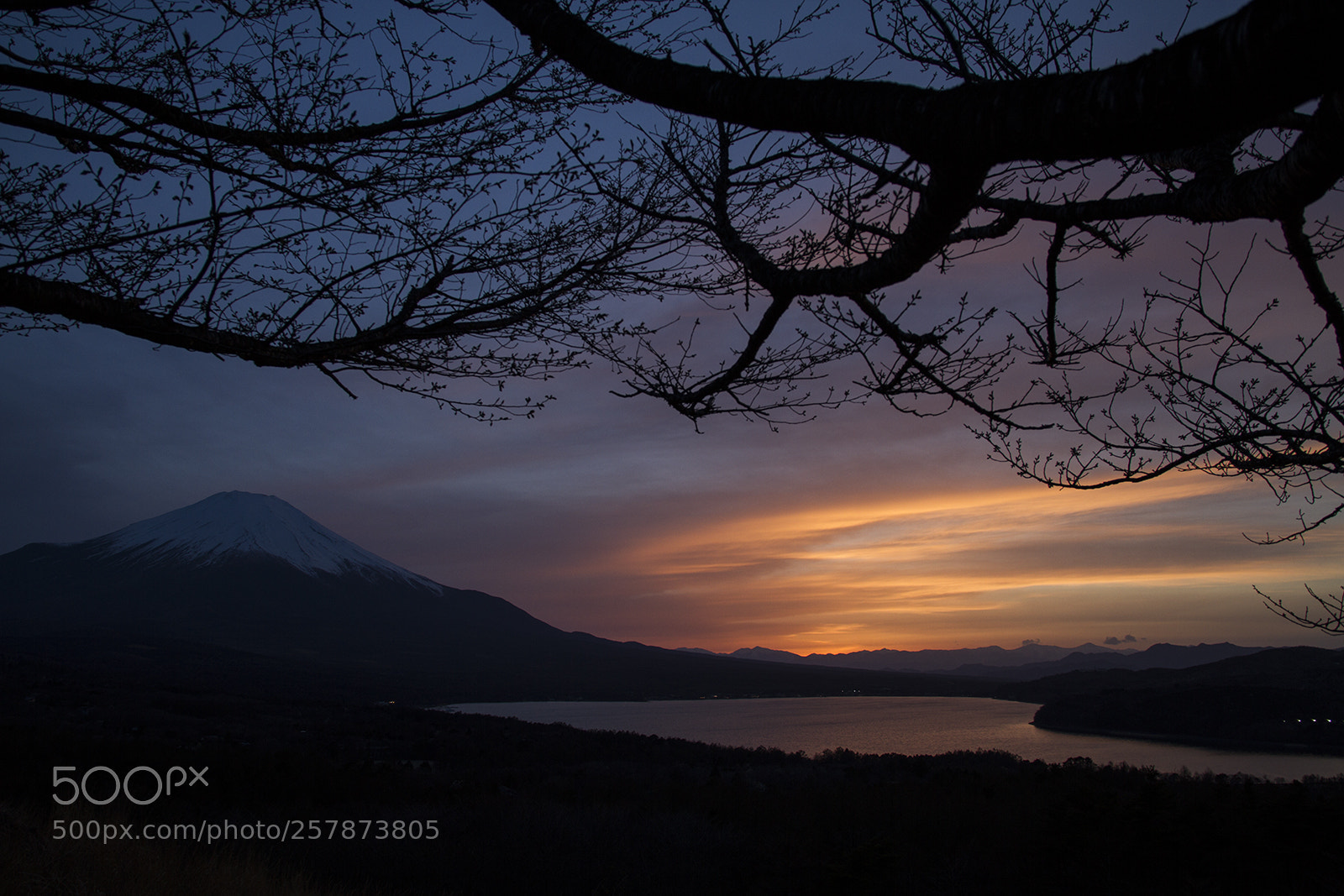 Canon EOS 7D sample photo. 5027.jpg photography