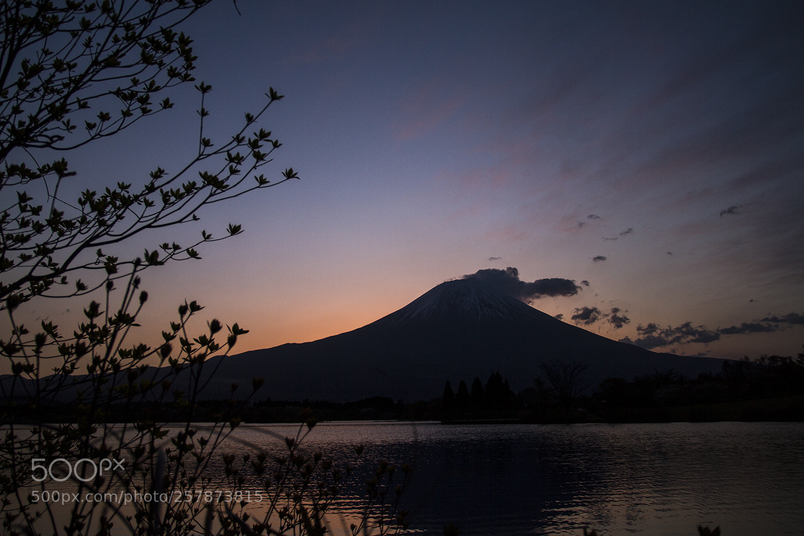 Canon EOS 7D sample photo. 5178.jpg photography