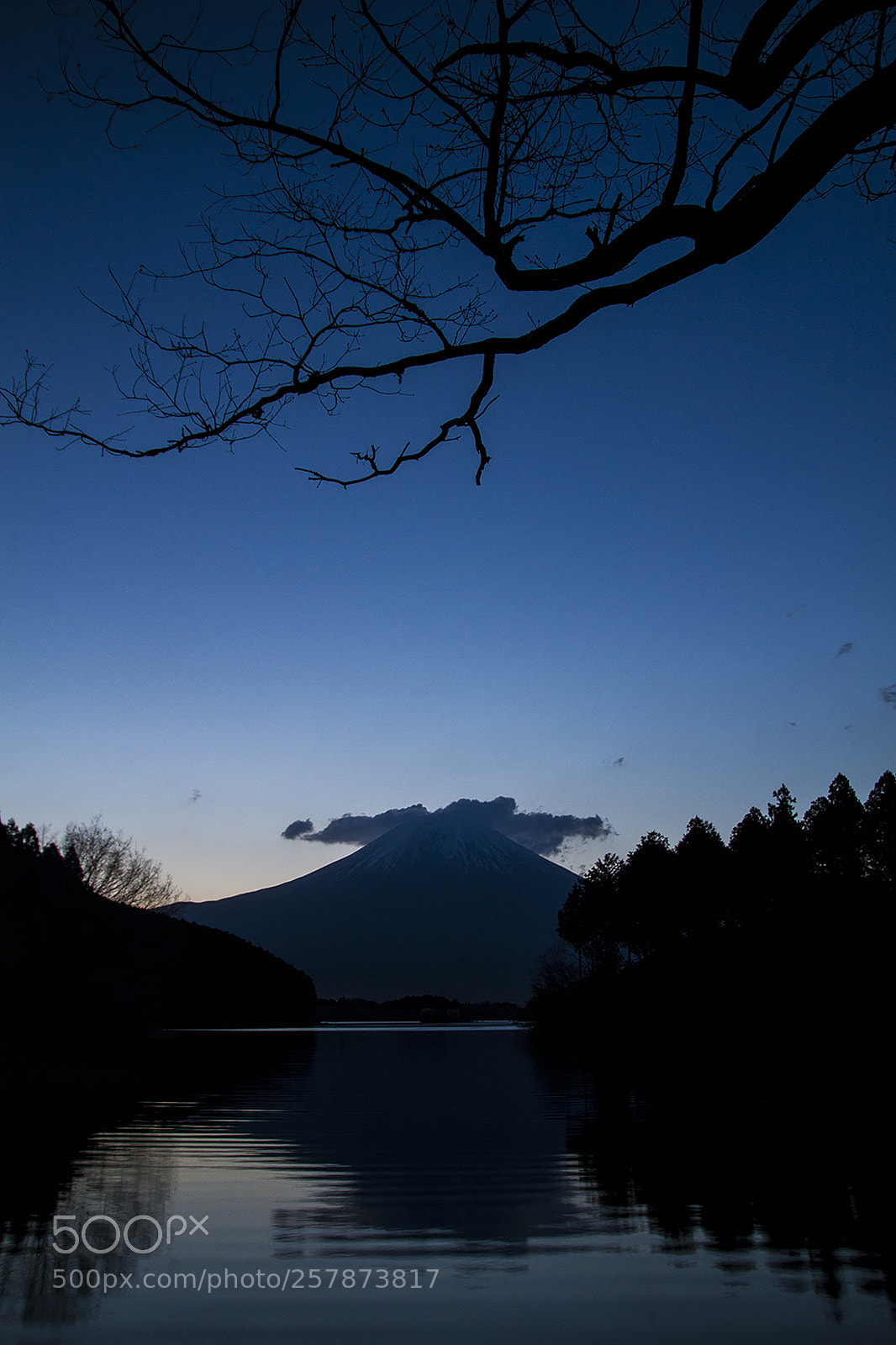 Canon EOS 7D sample photo. 5167.jpg photography