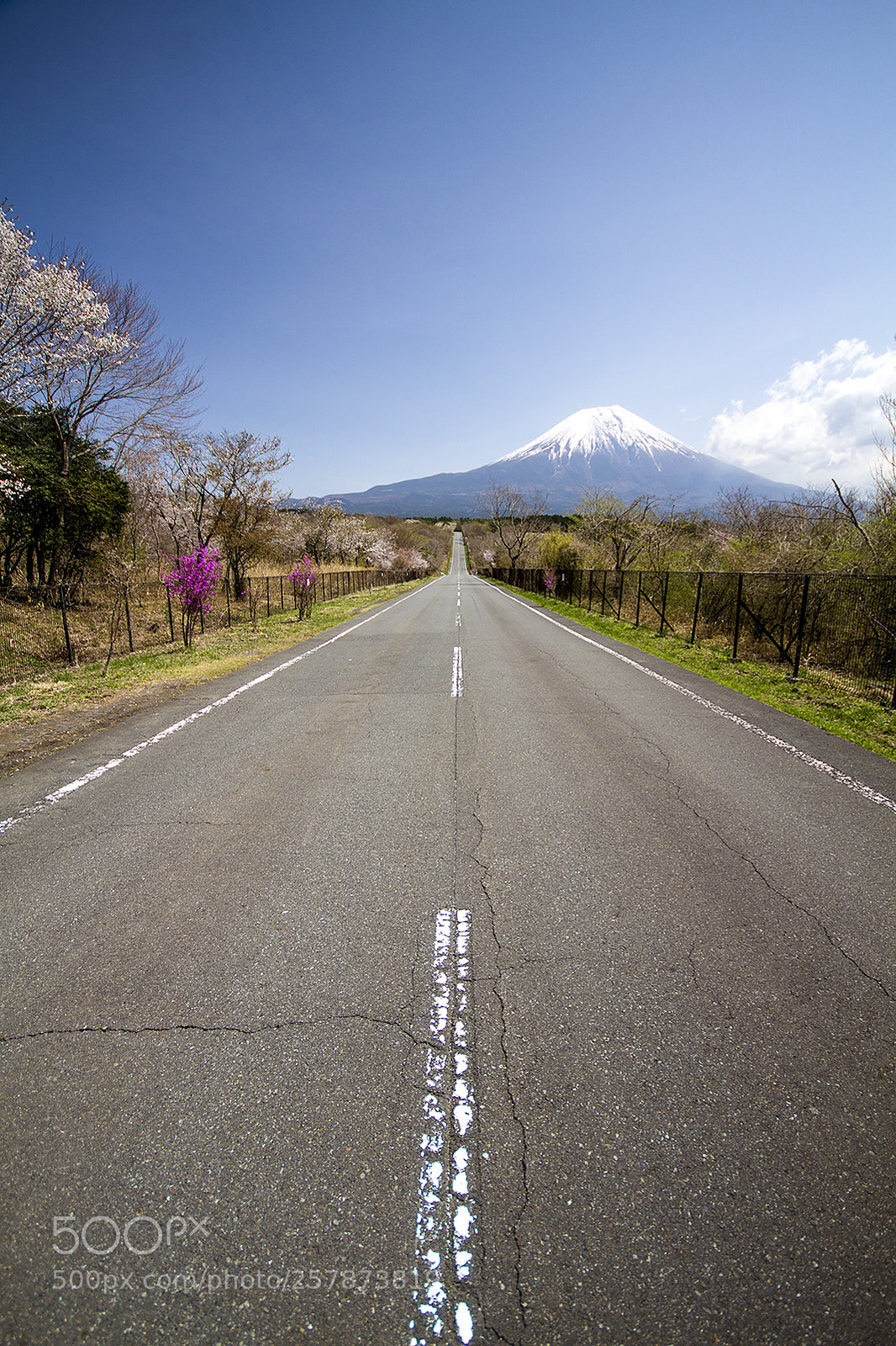 Canon EOS 7D sample photo. 5316.jpg photography