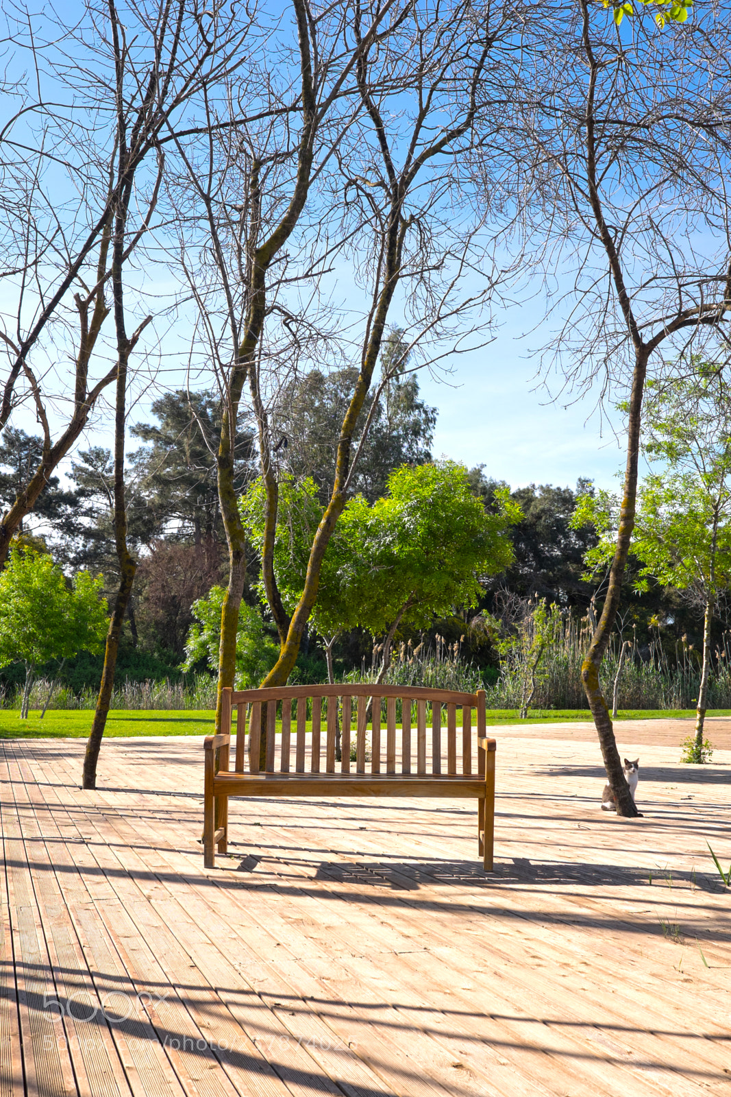 Fujifilm X-T1 sample photo. Turkey photography