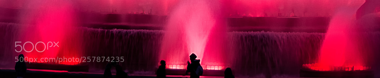 Nikon D7200 sample photo. Red. photography