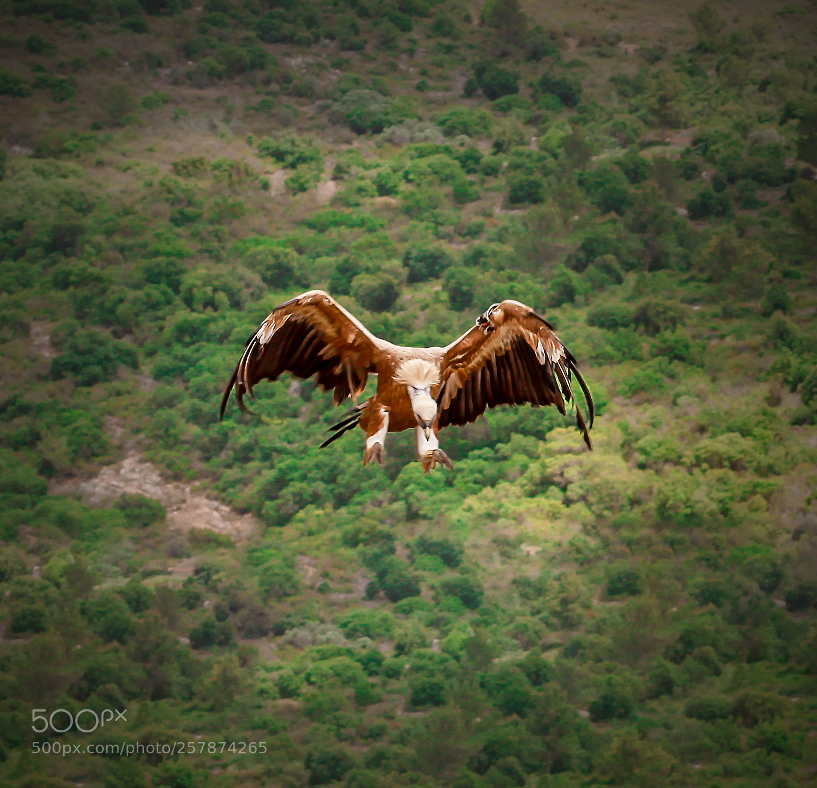 Canon EOS 7D sample photo. Landing... photography