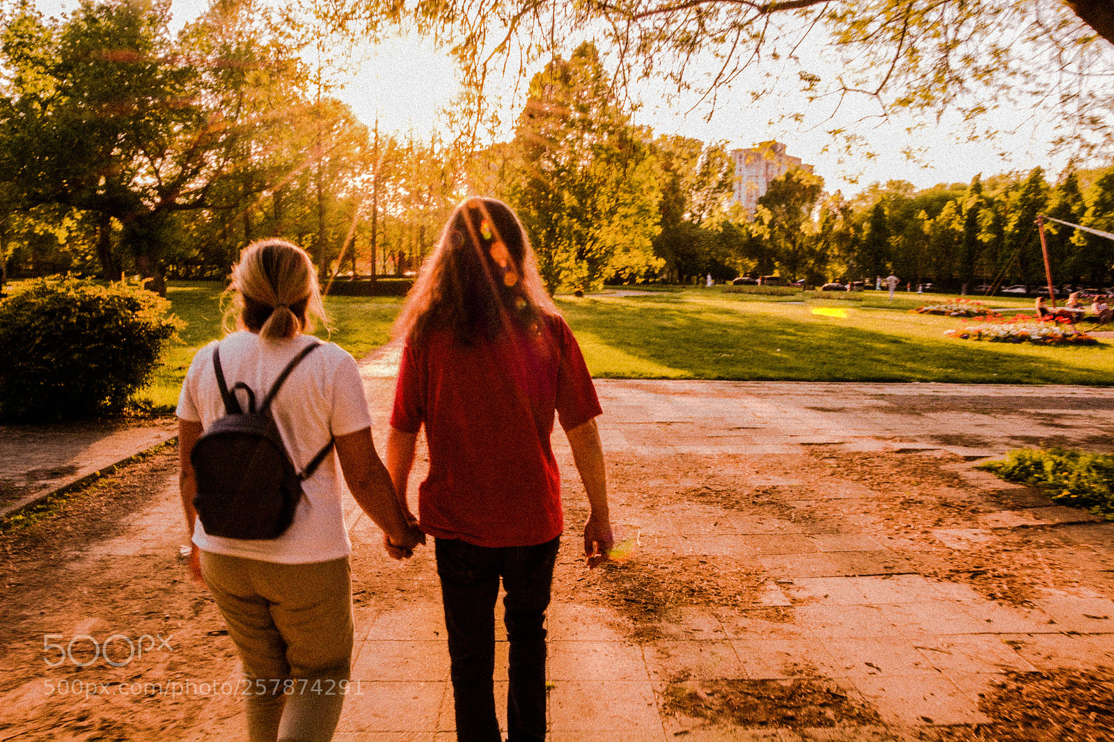 Nikon D7100 sample photo. Walk in a park photography