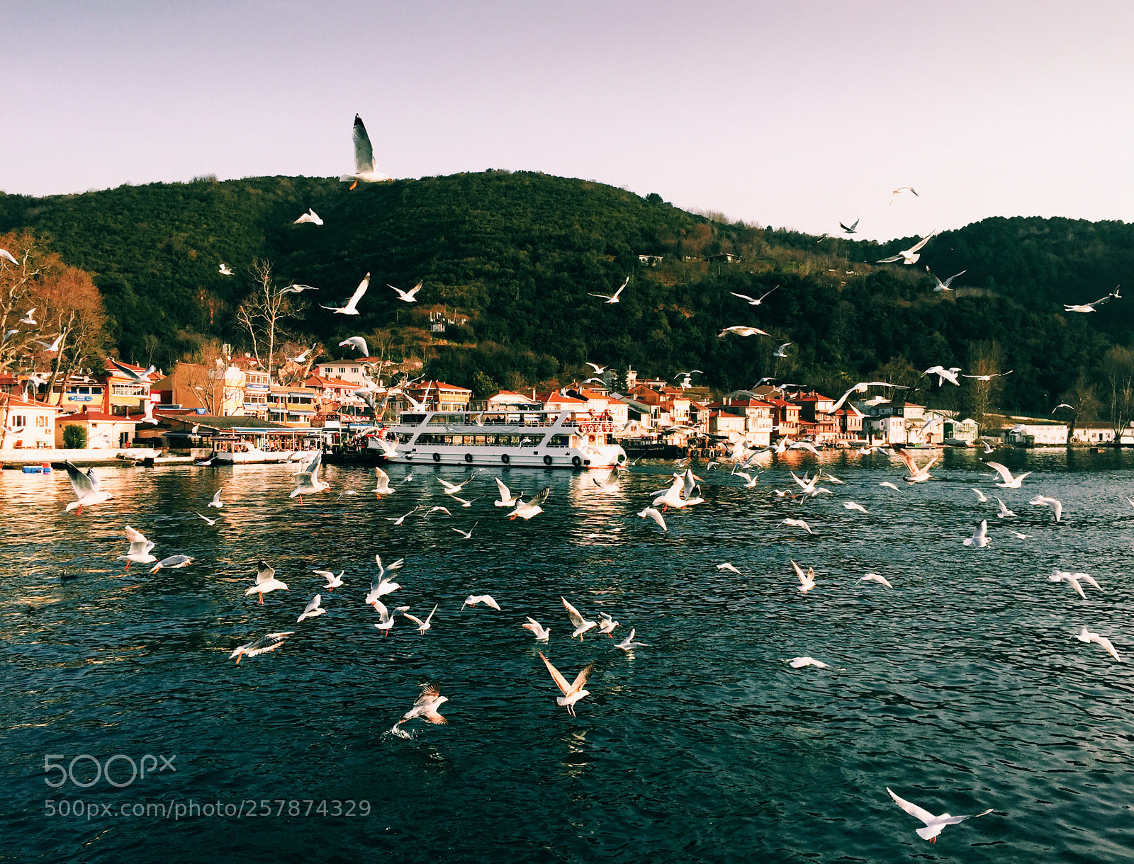 Apple iPhone 6 sample photo. By the bosporus strait photography