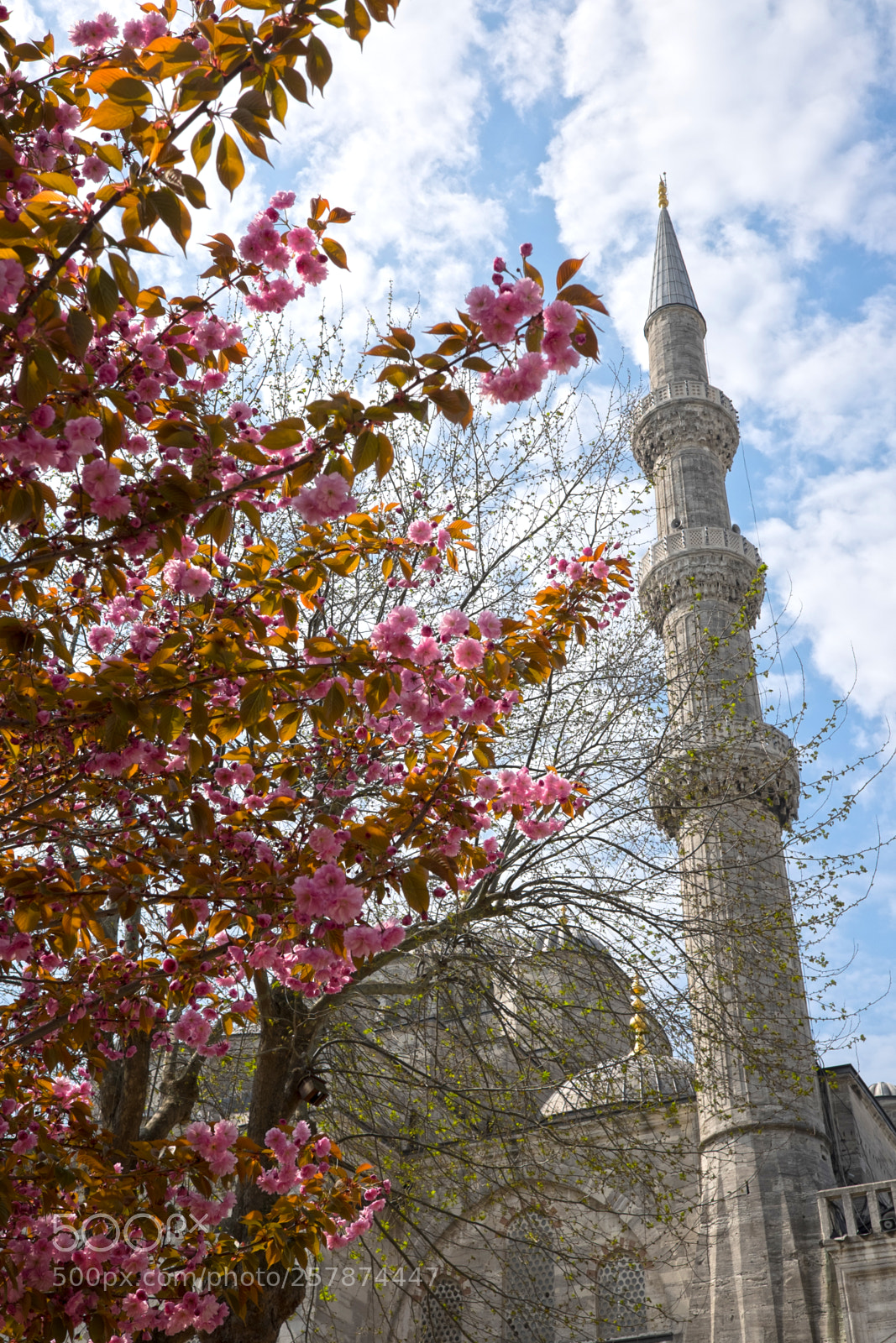 Fujifilm X-T1 sample photo. Istanbul 2017 photography