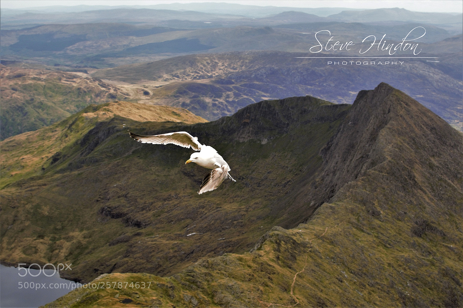 Nikon D7100 sample photo. Mount snowdon photography