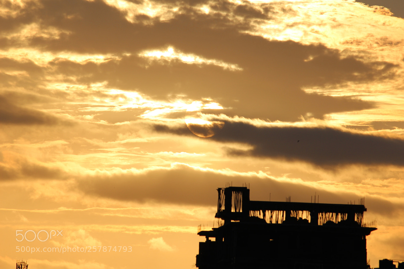 Canon EF-S 55-250mm F4-5.6 IS II sample photo. Img photography