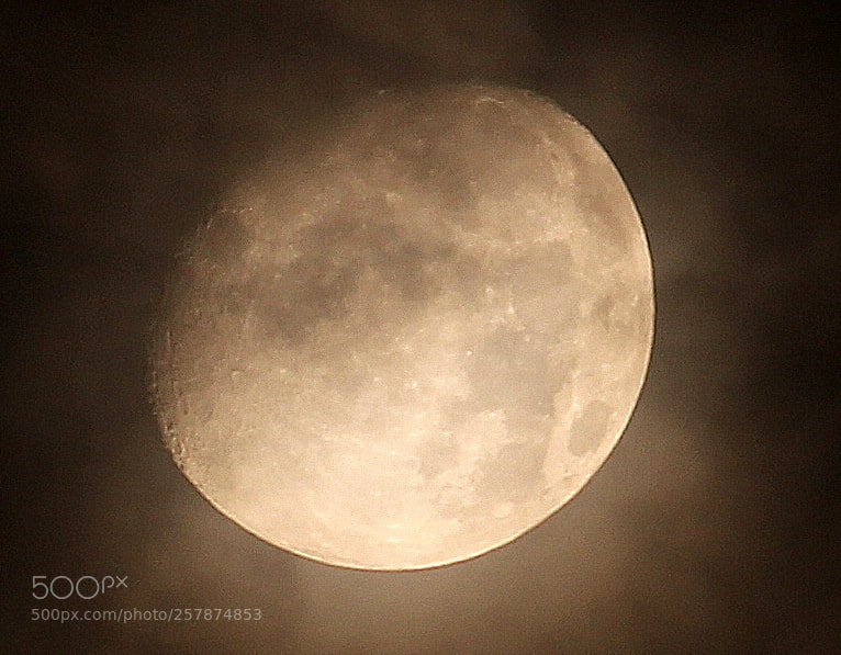 Canon EF-S 55-250mm F4-5.6 IS II sample photo. Img photography