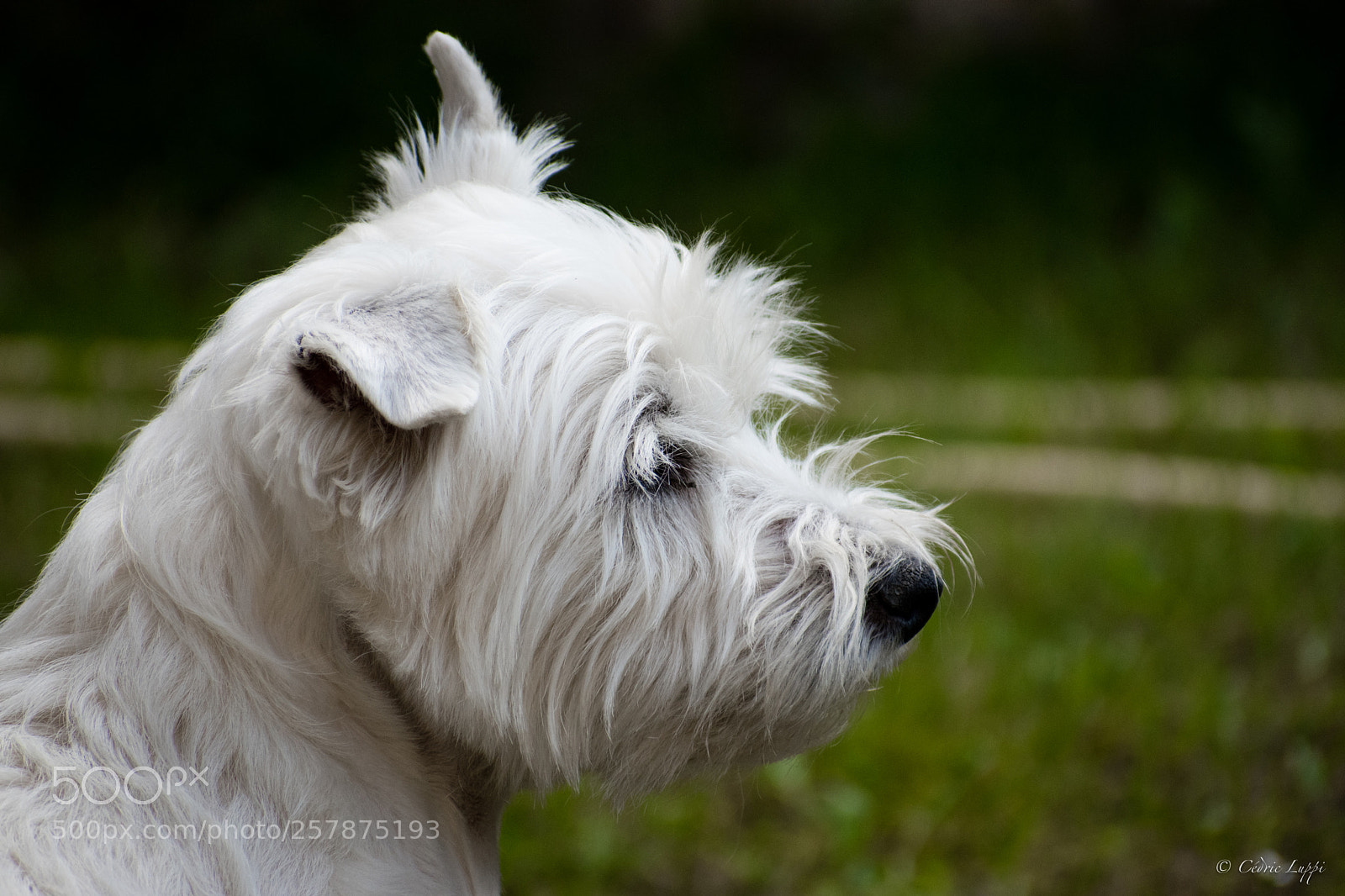 Nikon D5500 sample photo. On the watch photography