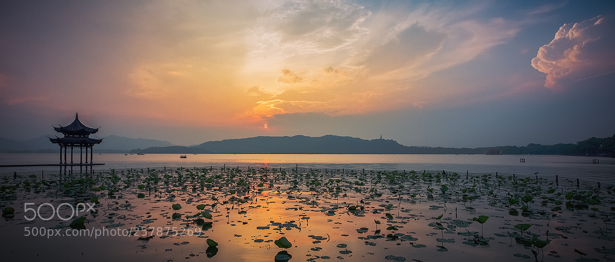 Canon EOS 5DS sample photo. 集贤亭20180514 photography