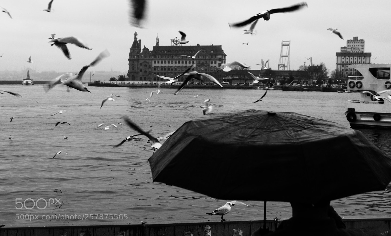 Canon EOS 600D (Rebel EOS T3i / EOS Kiss X5) sample photo. Umbrella man photography