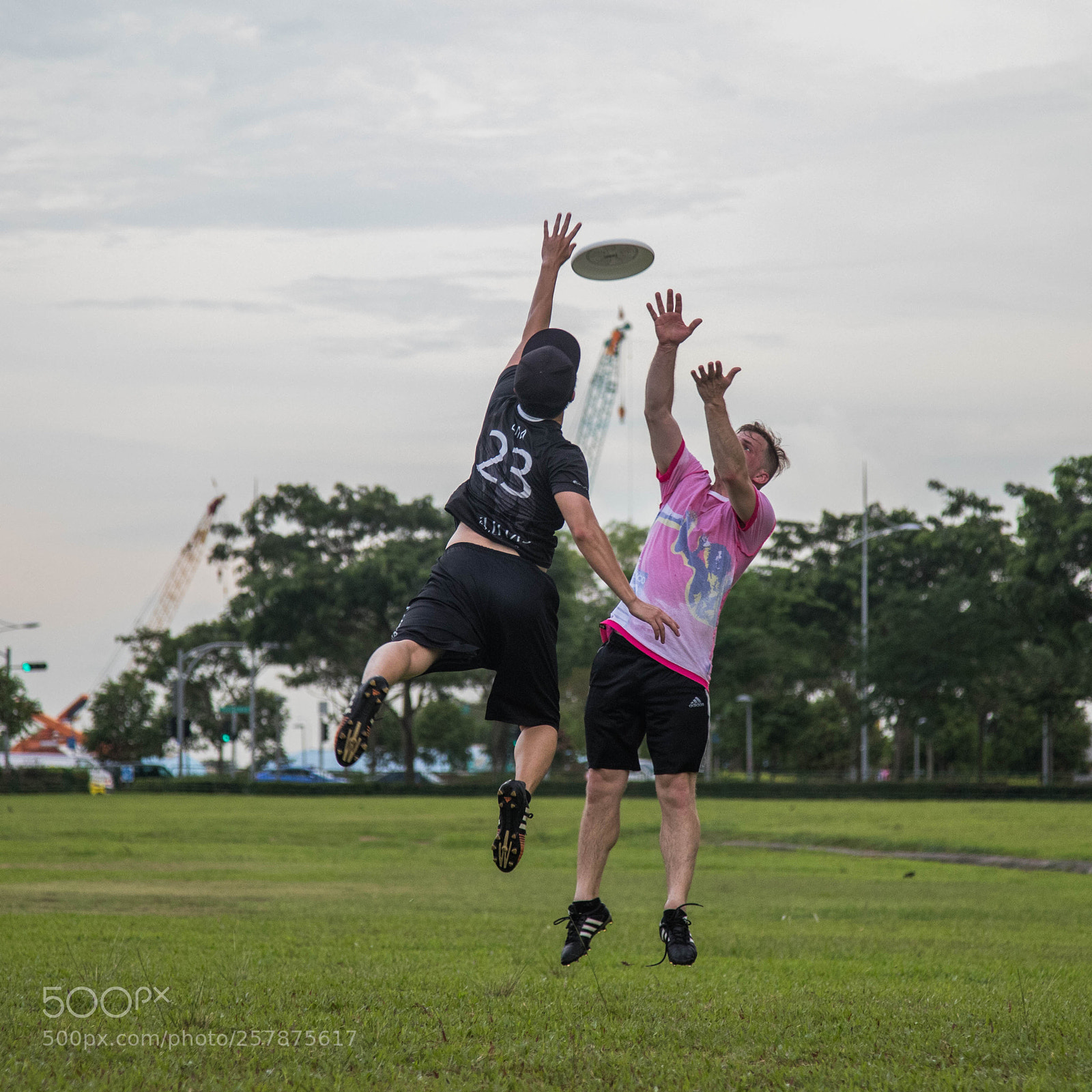 Canon EOS 6D Mark II sample photo. Ultimate battle photography
