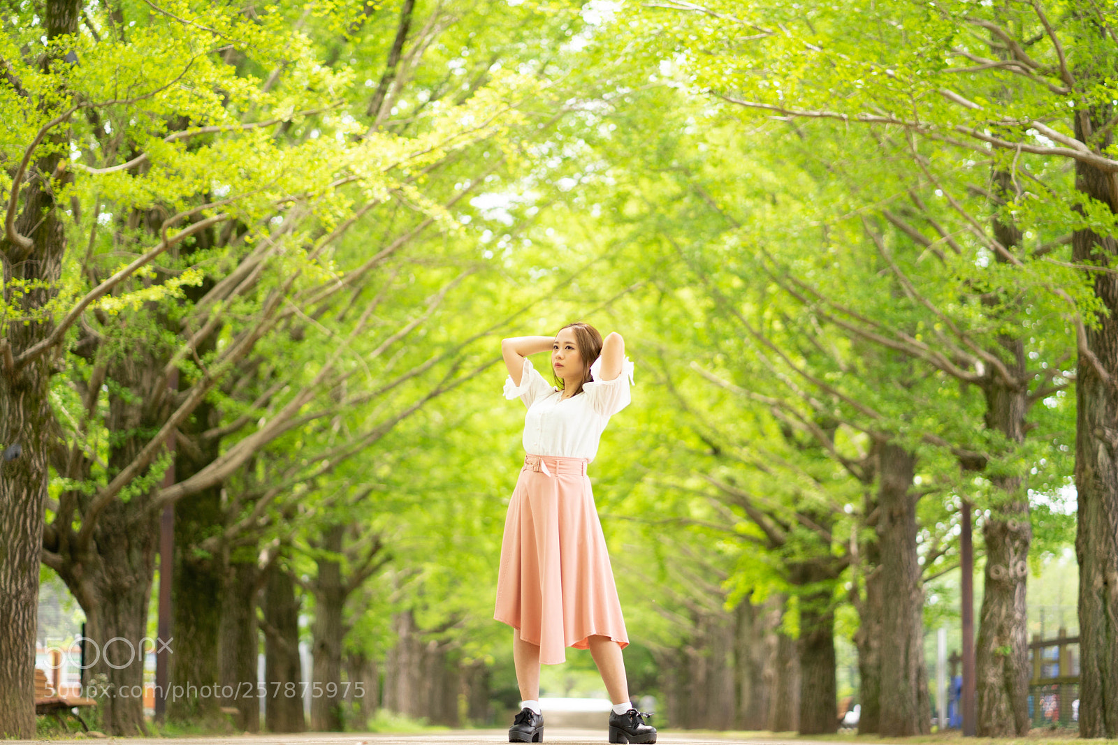 Sony a7 II sample photo. Dsc photography