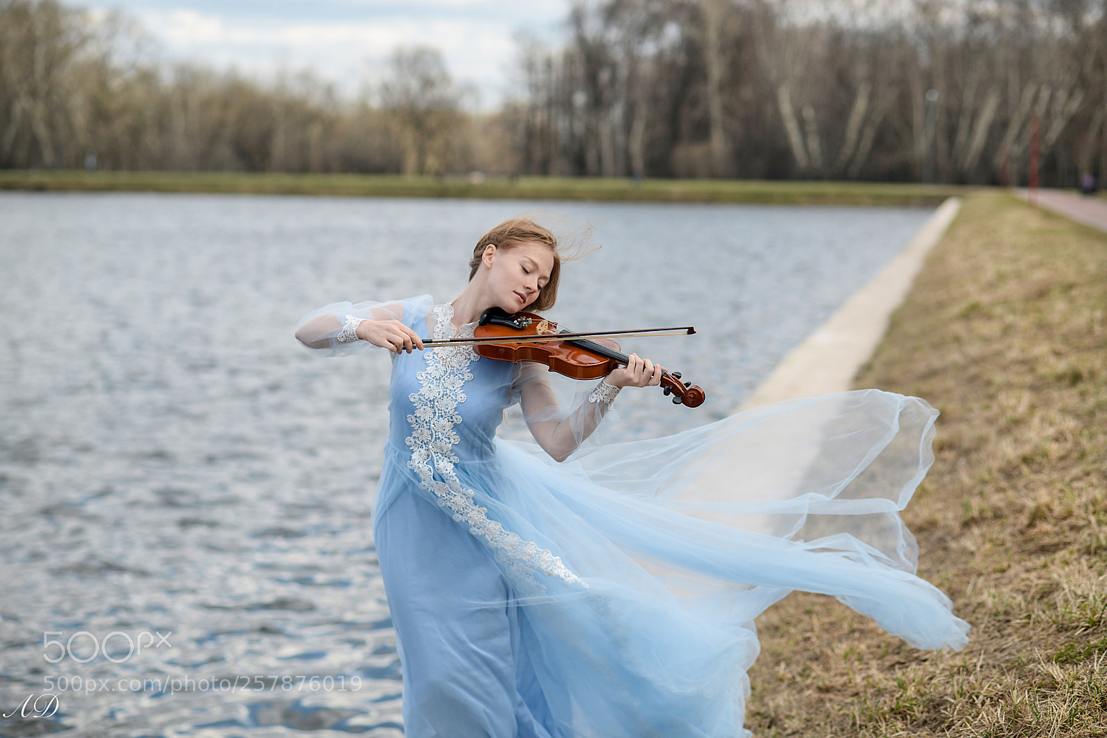 Nikon D600 sample photo. Song of the wind photography