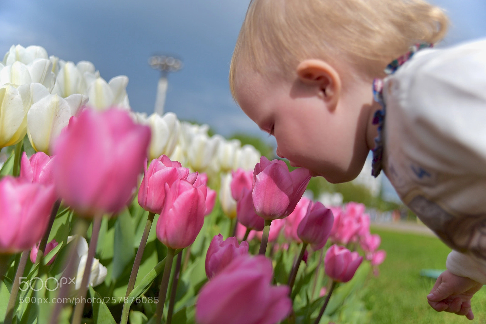 Nikon D750 sample photo. Ph_nikol photography