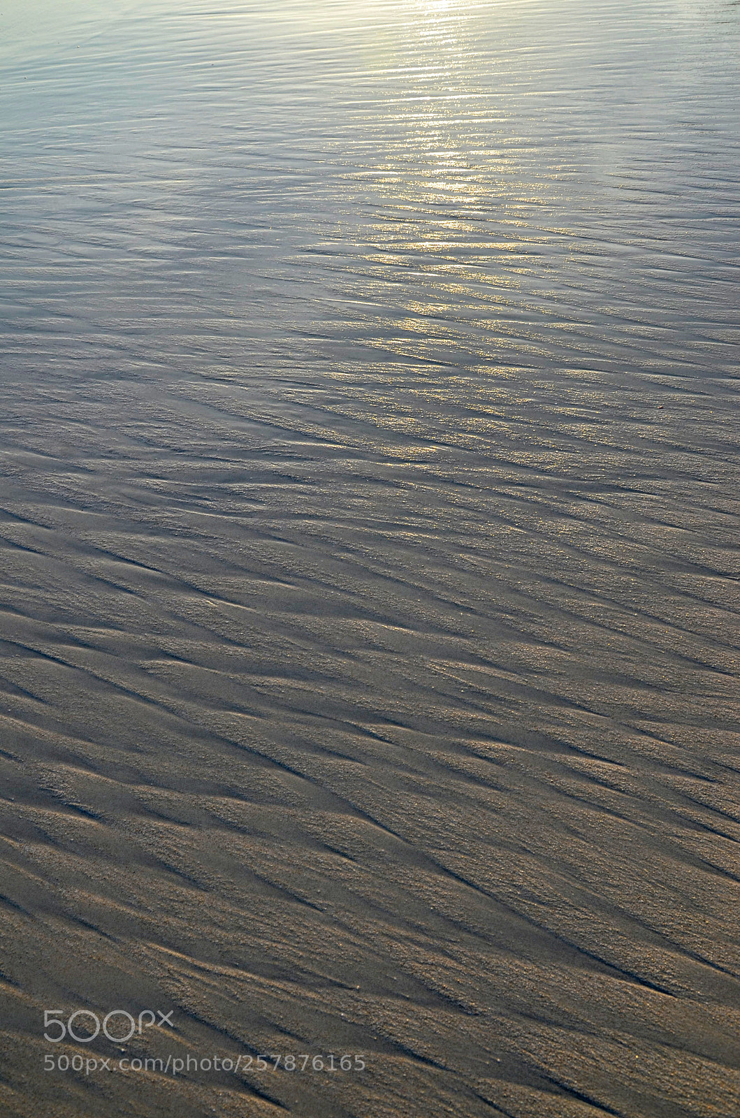 Nikon D7000 sample photo. Nature's beautiful design... photography