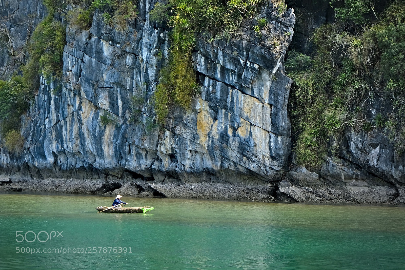 Fujifilm X-T2 sample photo. Cat ba island photography
