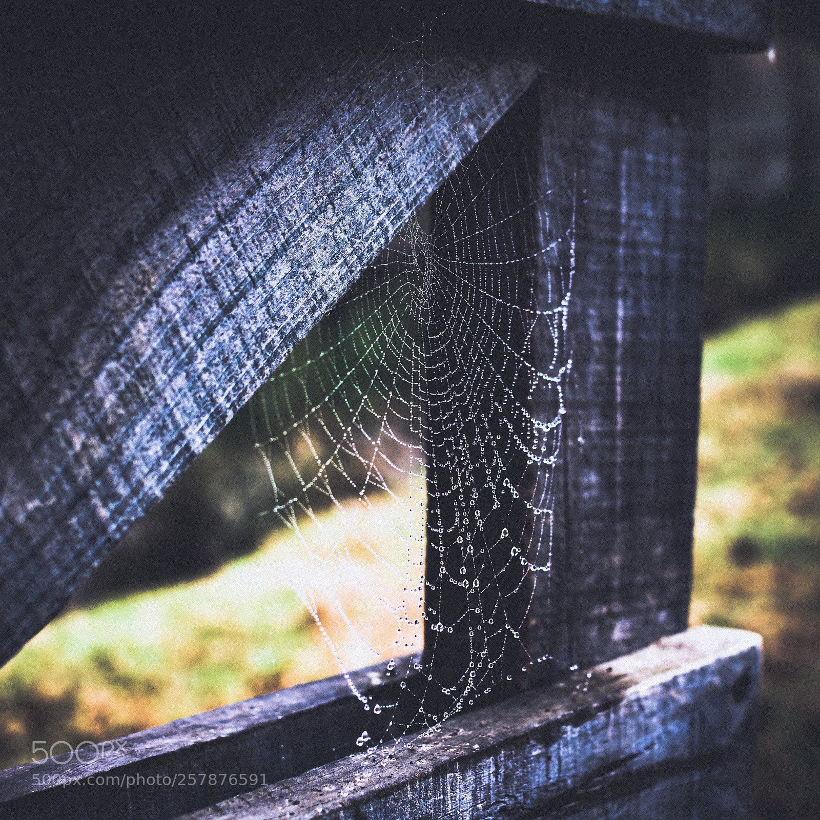 Nikon D7200 sample photo. Water web photography