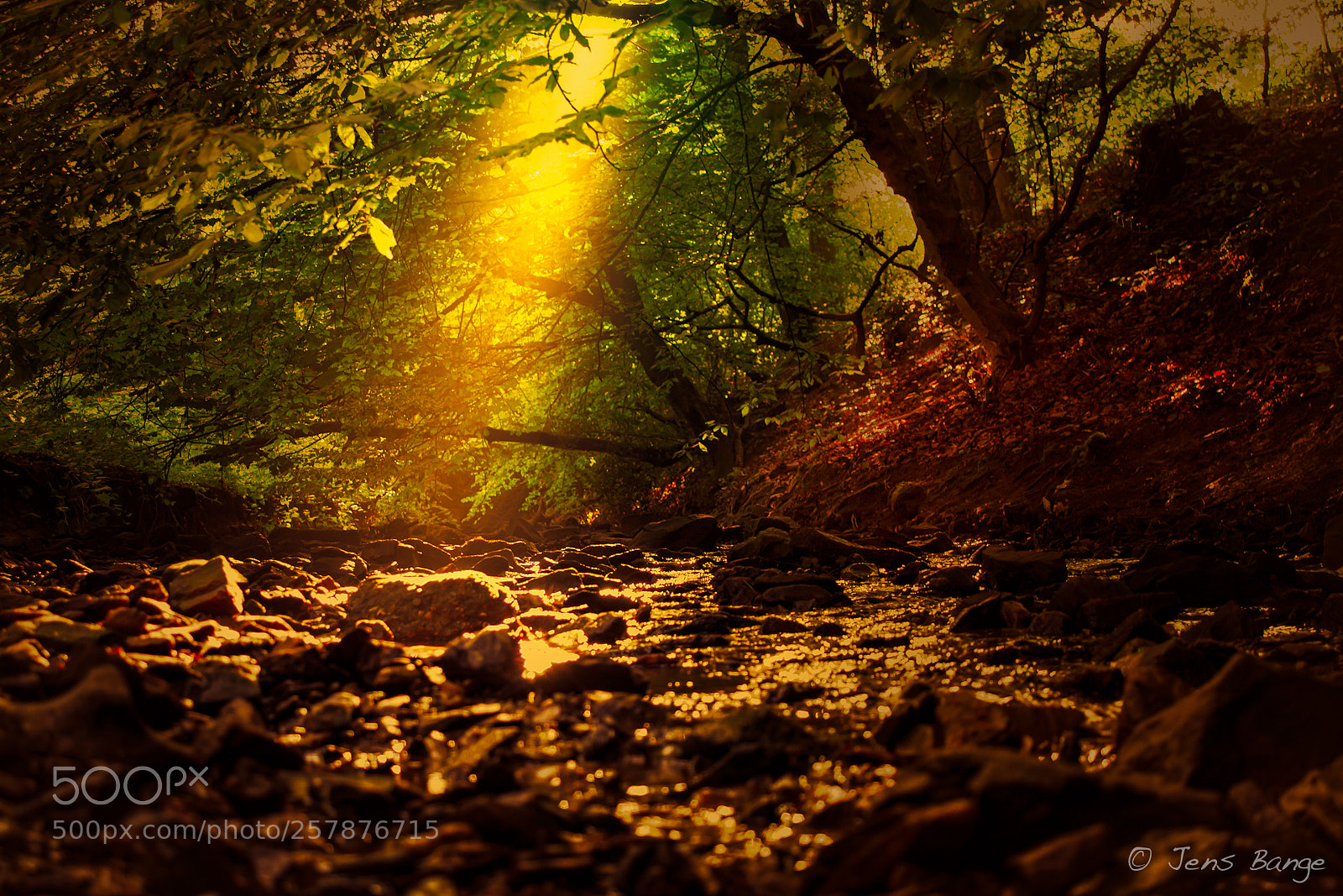 Canon EOS 5D Mark II sample photo. Der bach photography