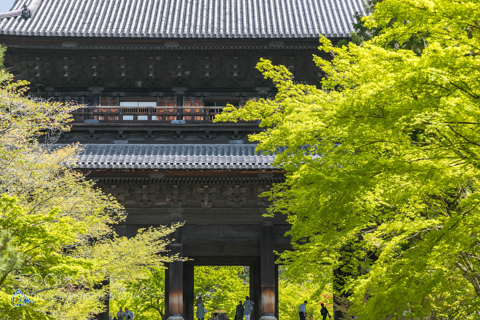 Canon EOS 5D Mark IV sample photo. 夏楓的禪院 春天的告別 photography