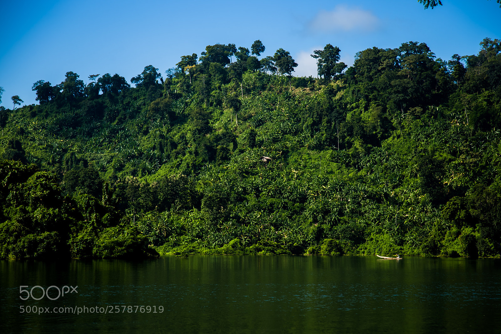 Canon EOS 6D sample photo. Untitled photography