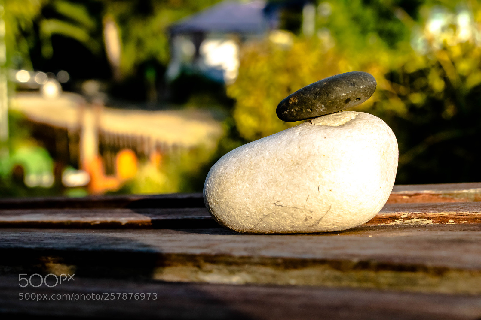 Nikon D3300 sample photo. Untitled photography