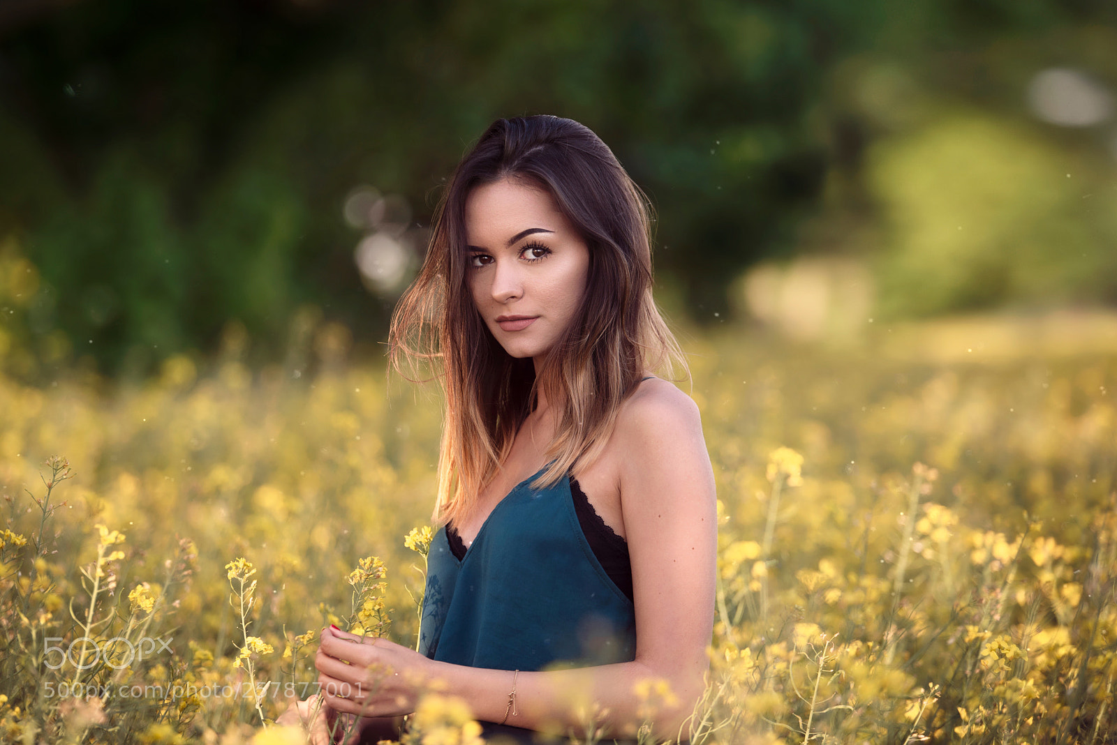 Nikon D750 sample photo. Untitled photography