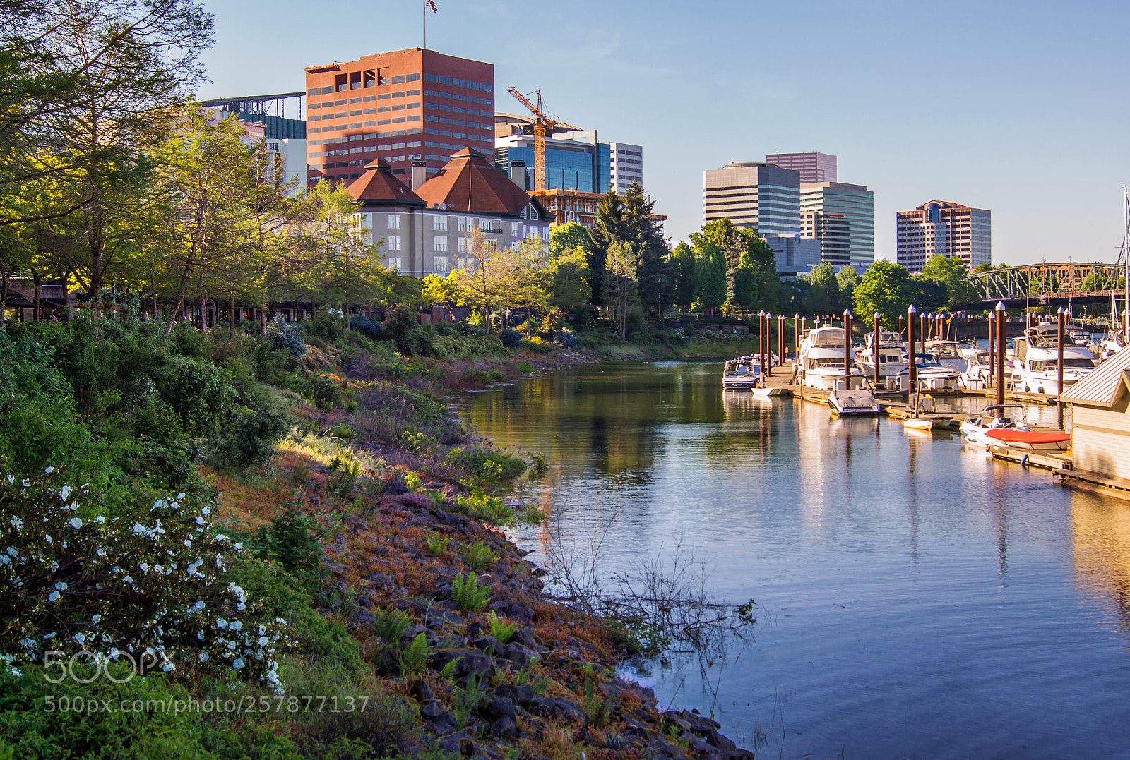 Sony SLT-A77 sample photo. Willamette river photography