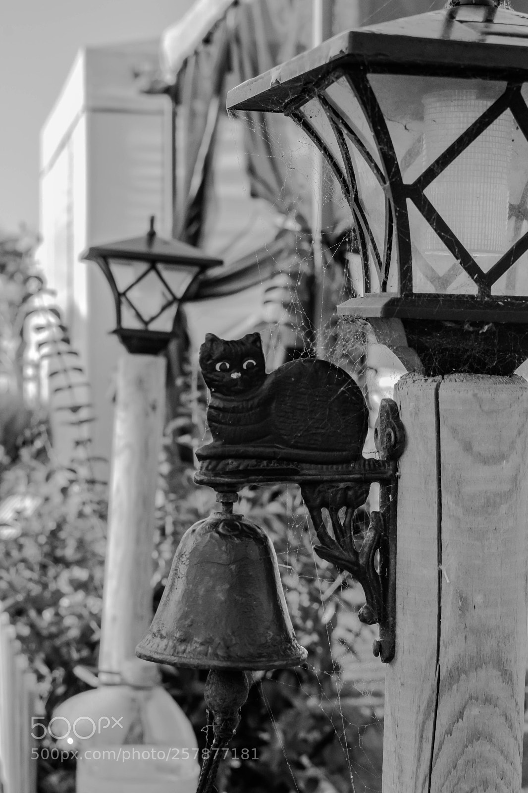 Nikon D3300 sample photo. Untitled photography