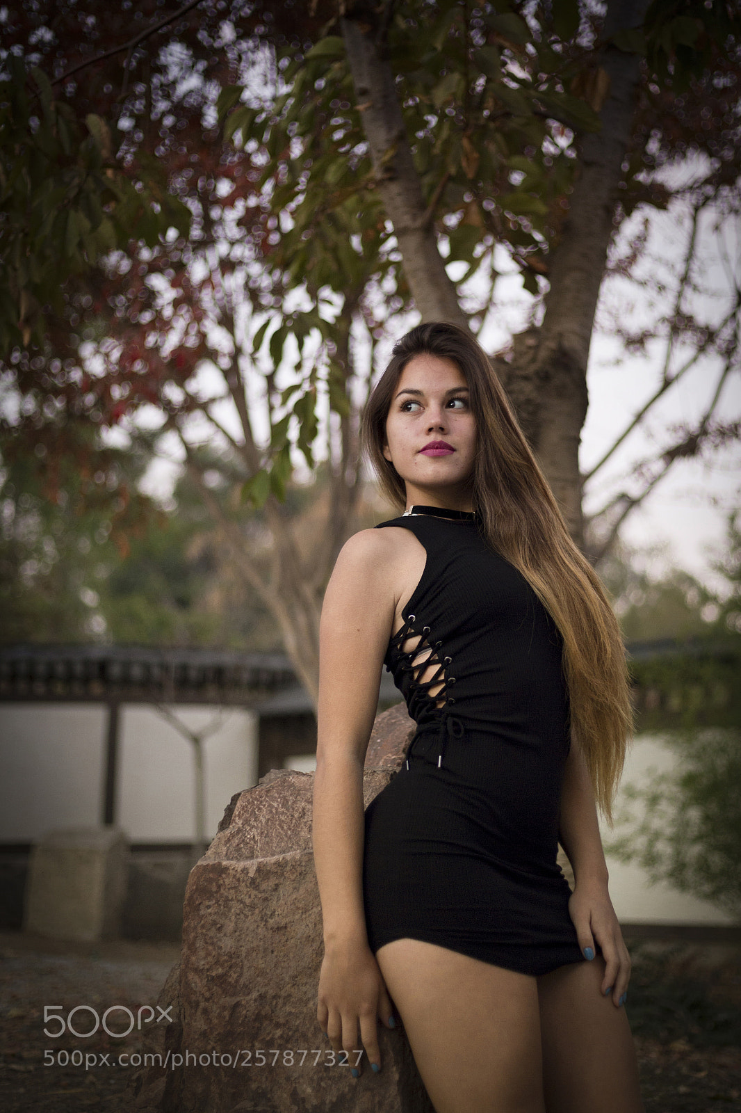 Canon EOS 6D sample photo. Untitled photography