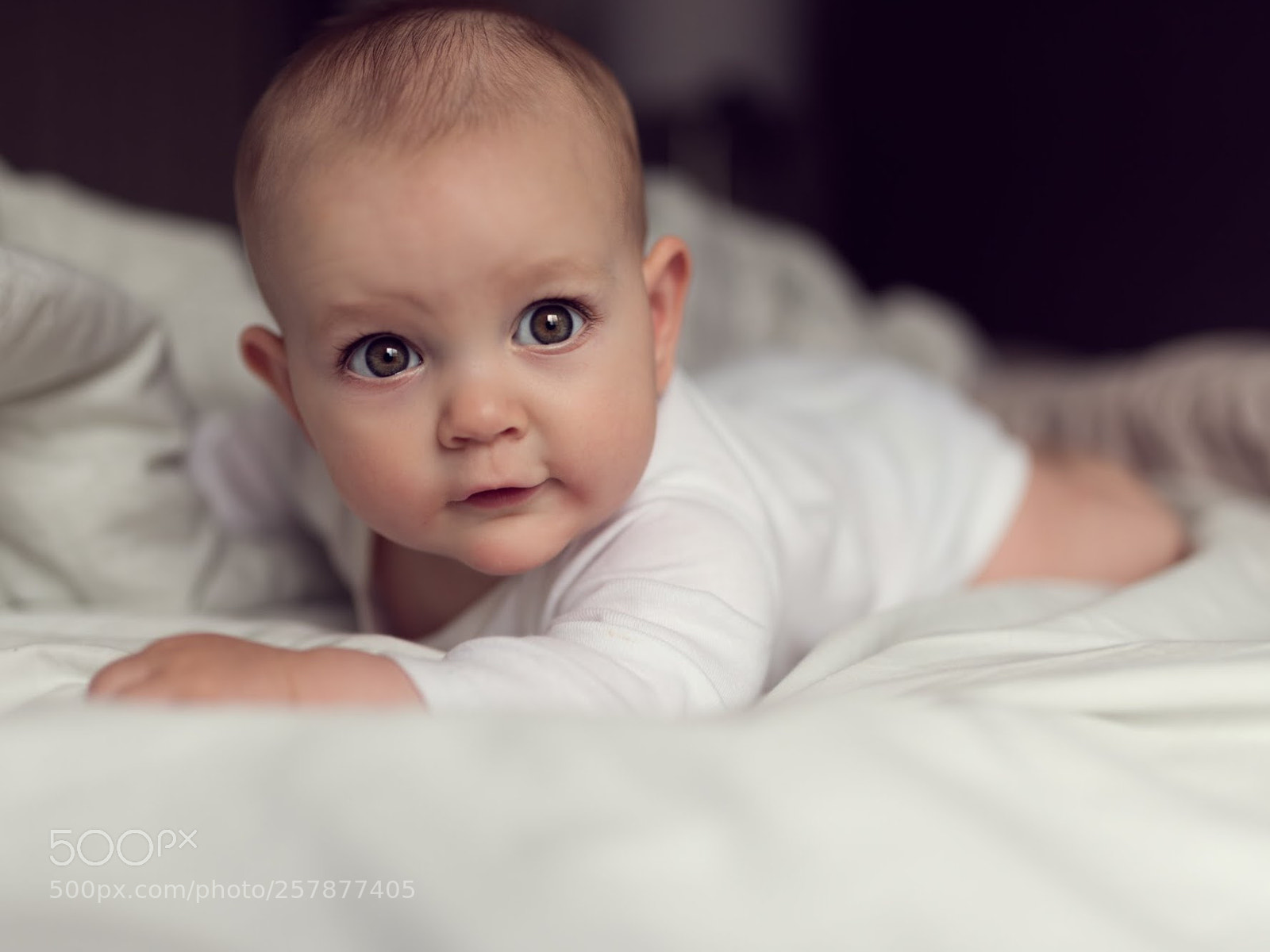 Nikon D750 sample photo. Ana photography