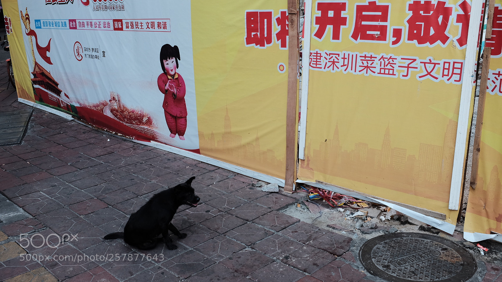 Fujifilm X100T sample photo. Untitled photography