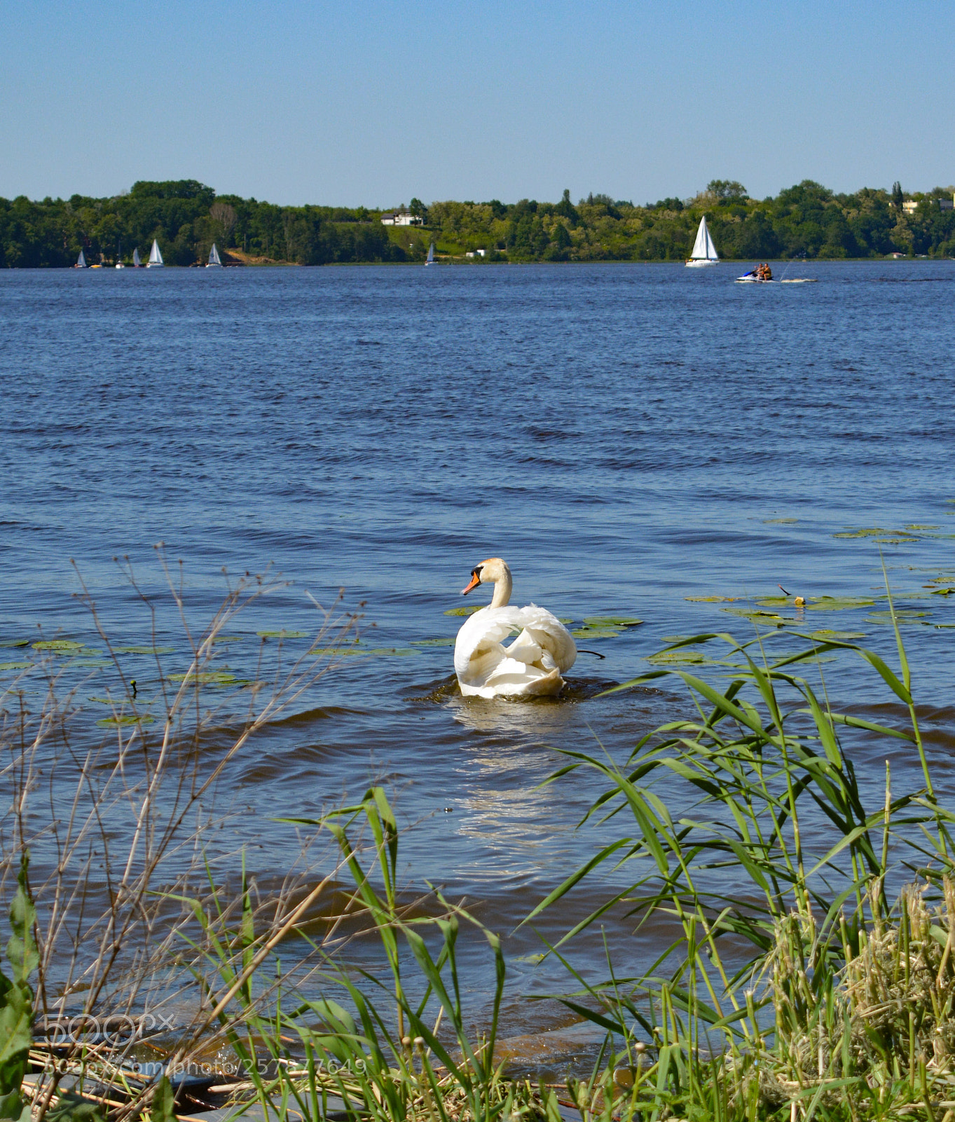 Nikon D5200 sample photo. Lake photography