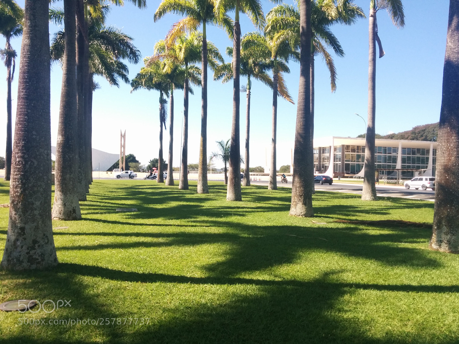 LG Nexus 5 sample photo. Stf - bras lia photography