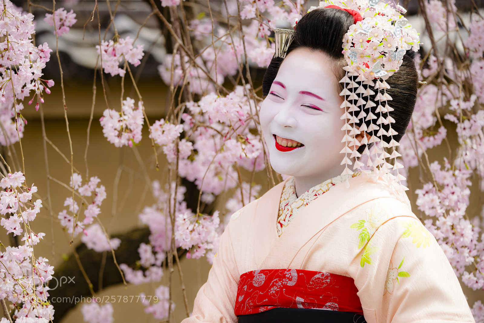 Nikon D800 sample photo. A smile of happiness photography