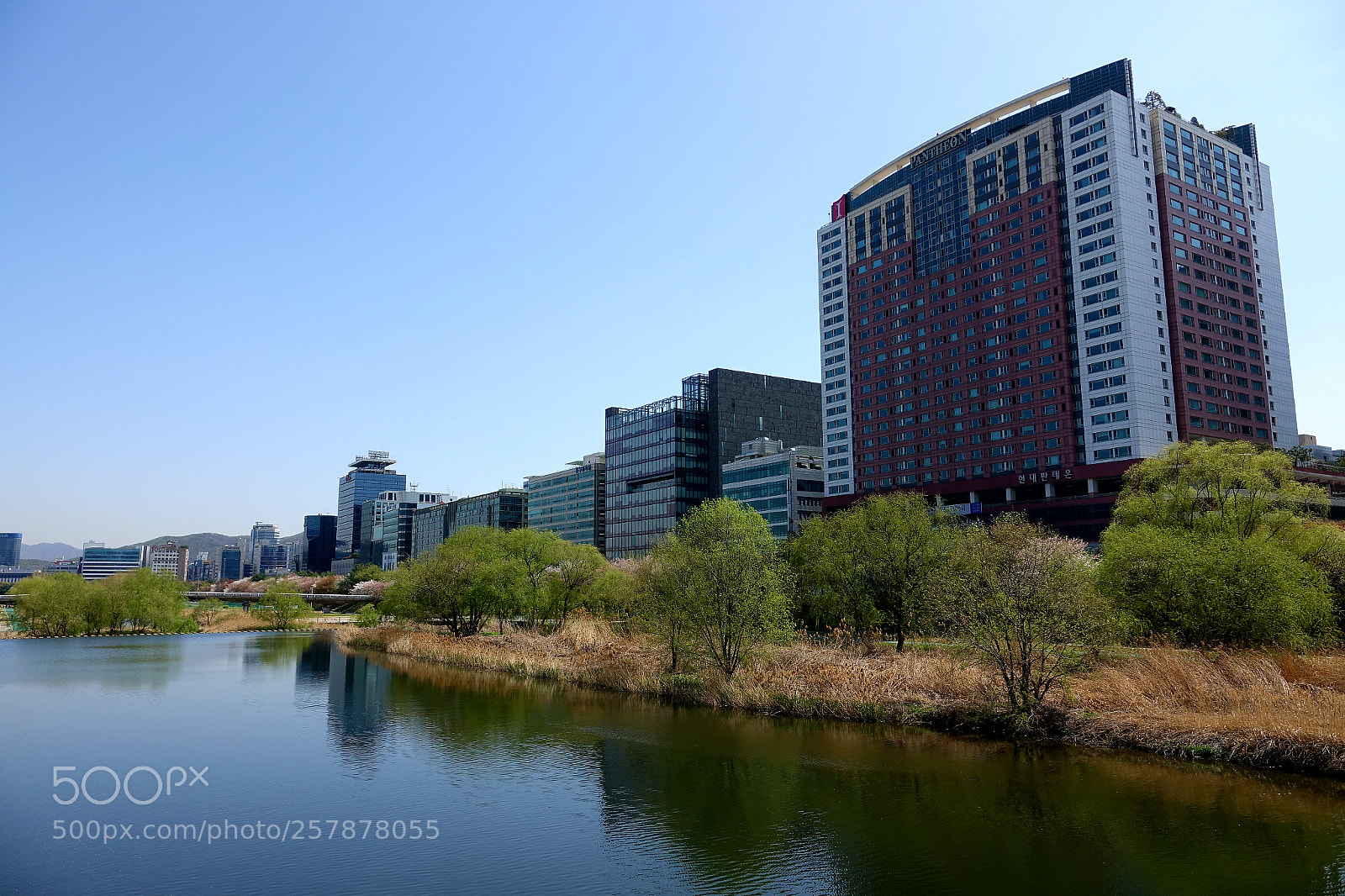 Sony Cyber-shot DSC-RX10 III sample photo. Untitled photography