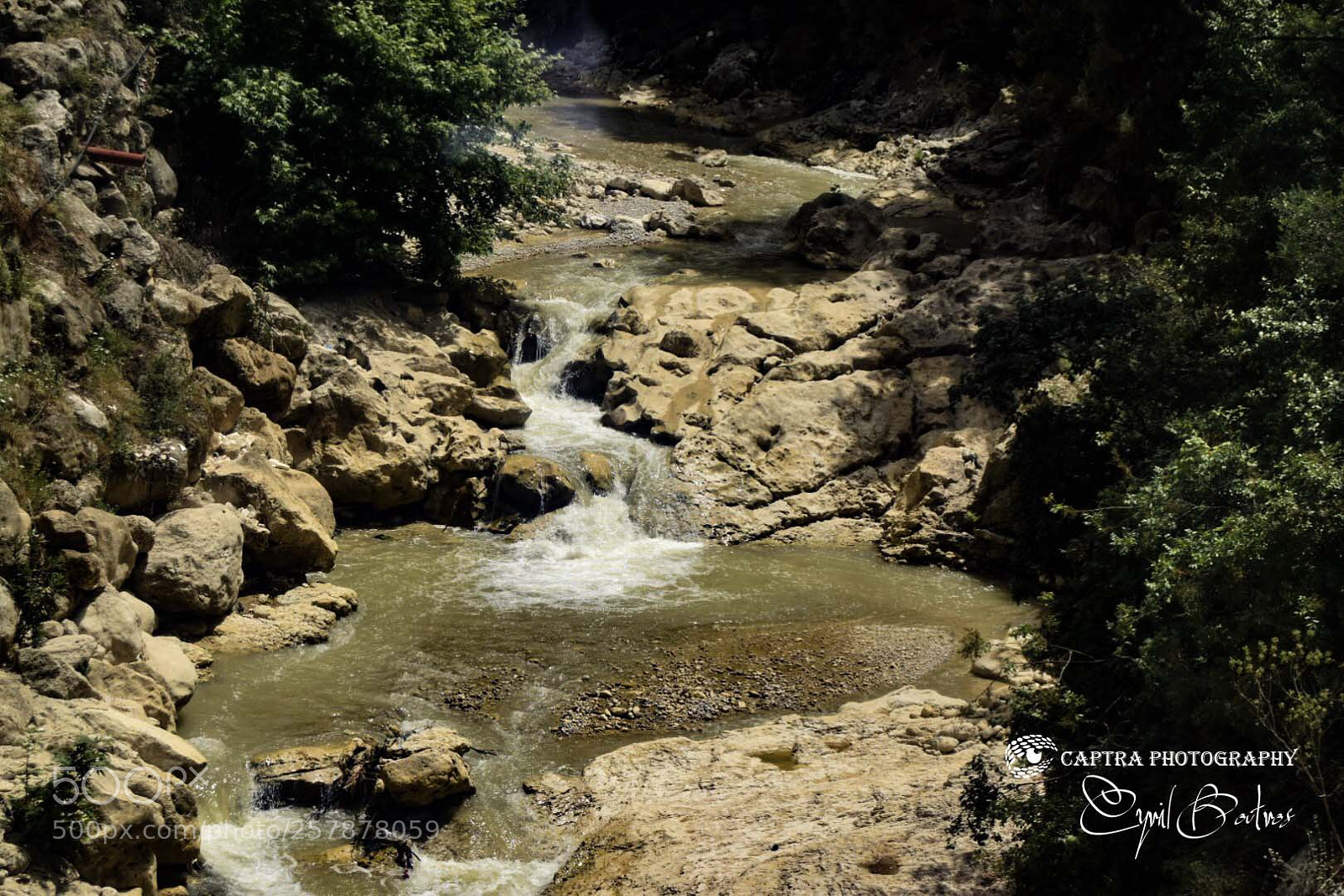 Nikon D5300 sample photo. Img photography