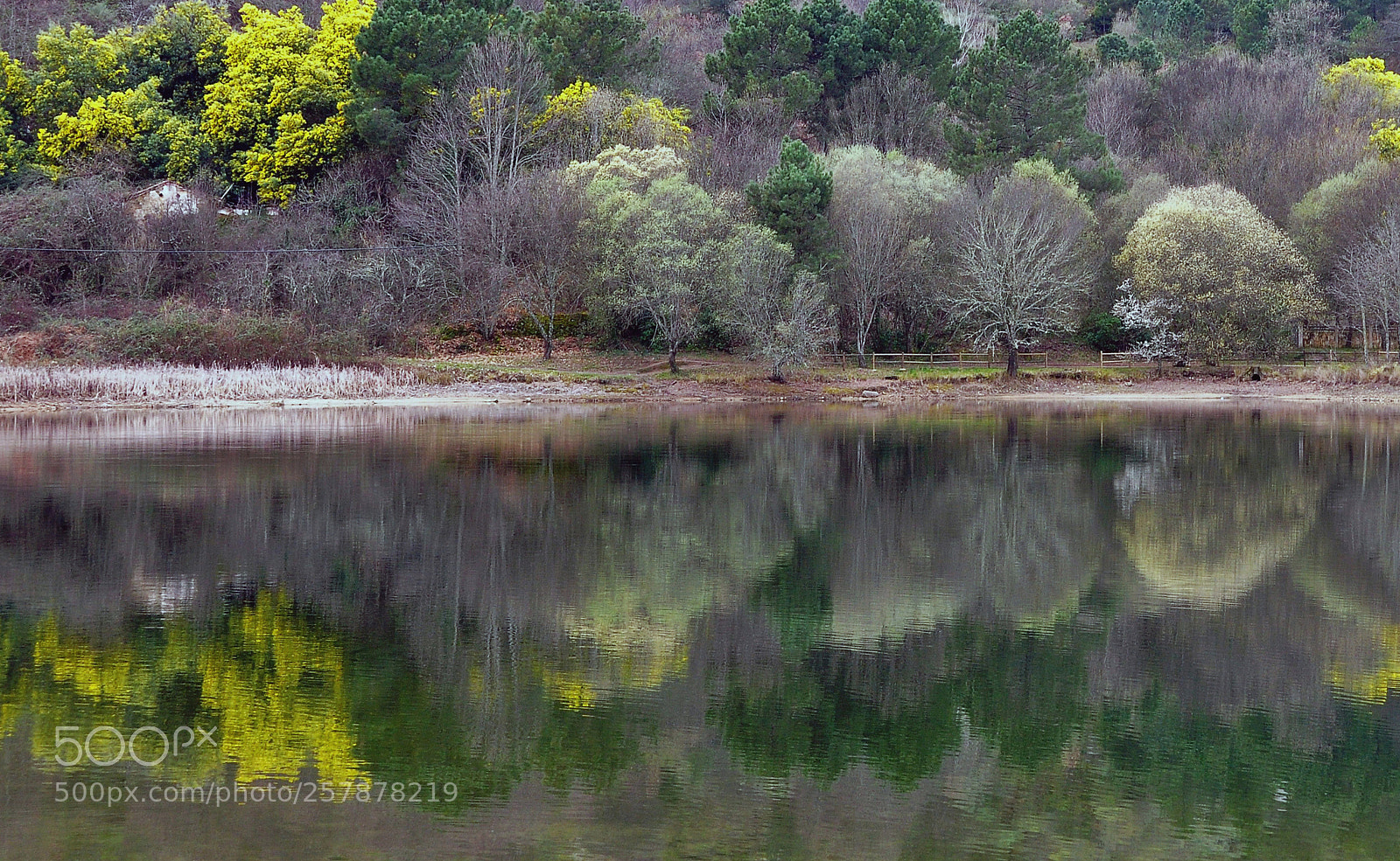 Nikon D90 sample photo. La casita del lago... photography