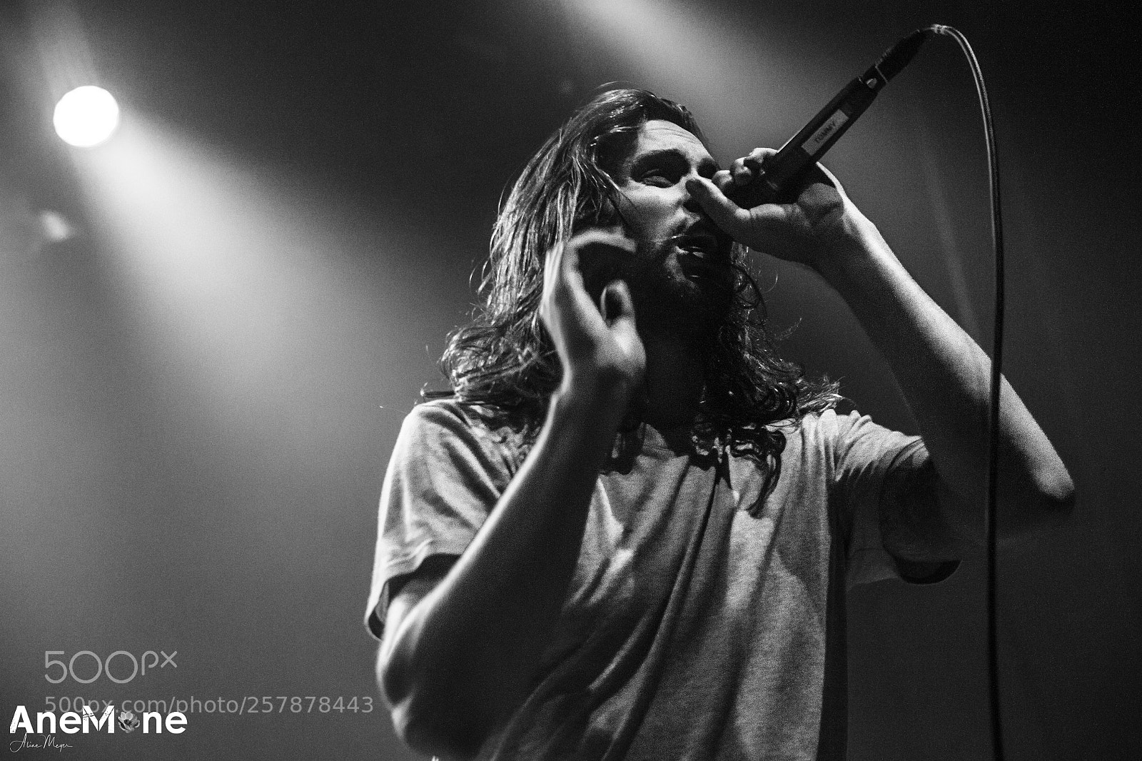 Canon EOS-1D X sample photo. Between the buried and photography