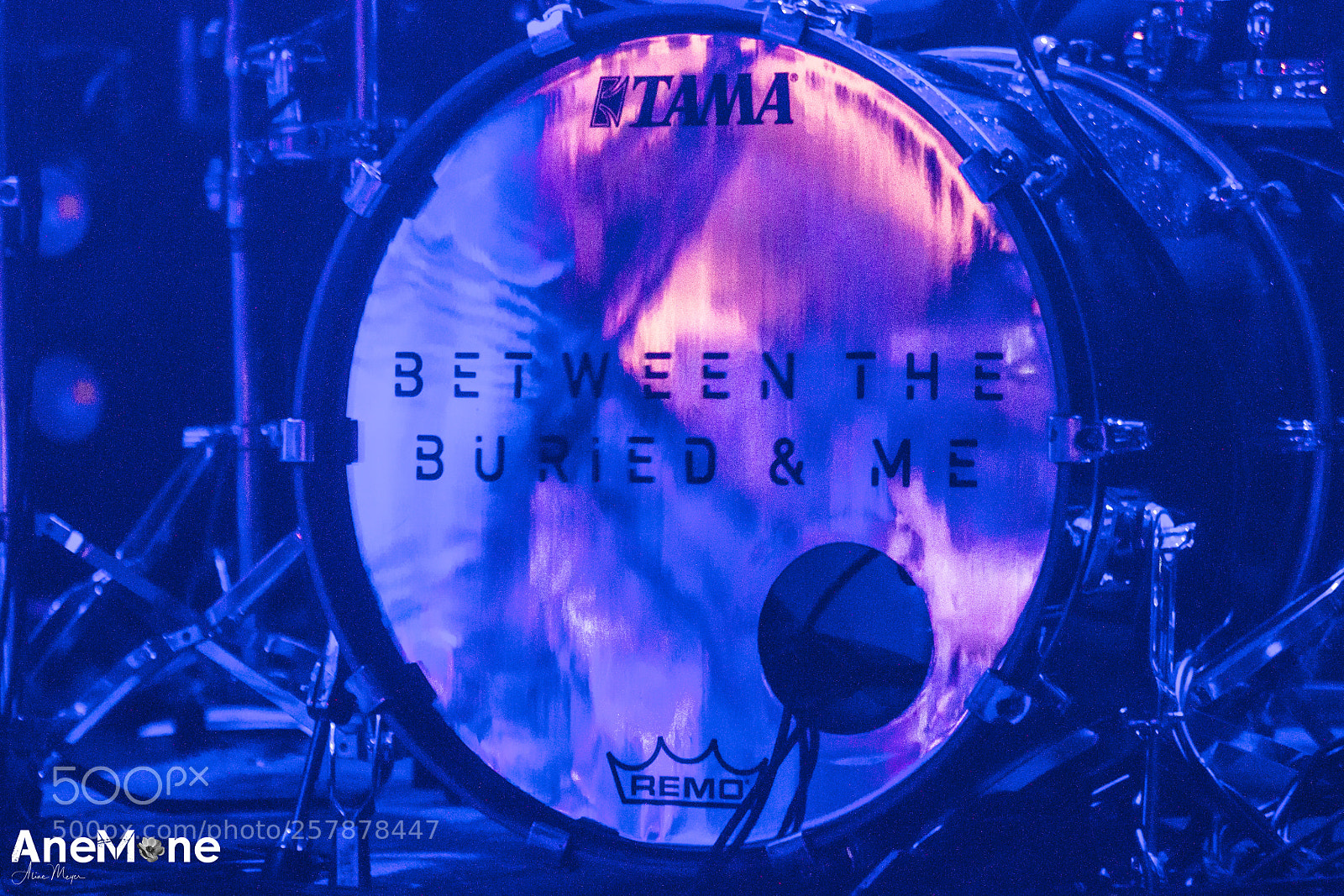 Canon EOS 7D sample photo. Between the buried and photography