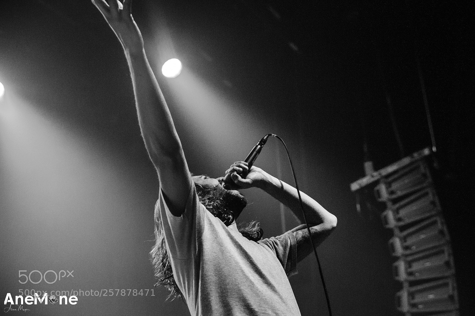 Canon EOS-1D X sample photo. Between the buried and photography