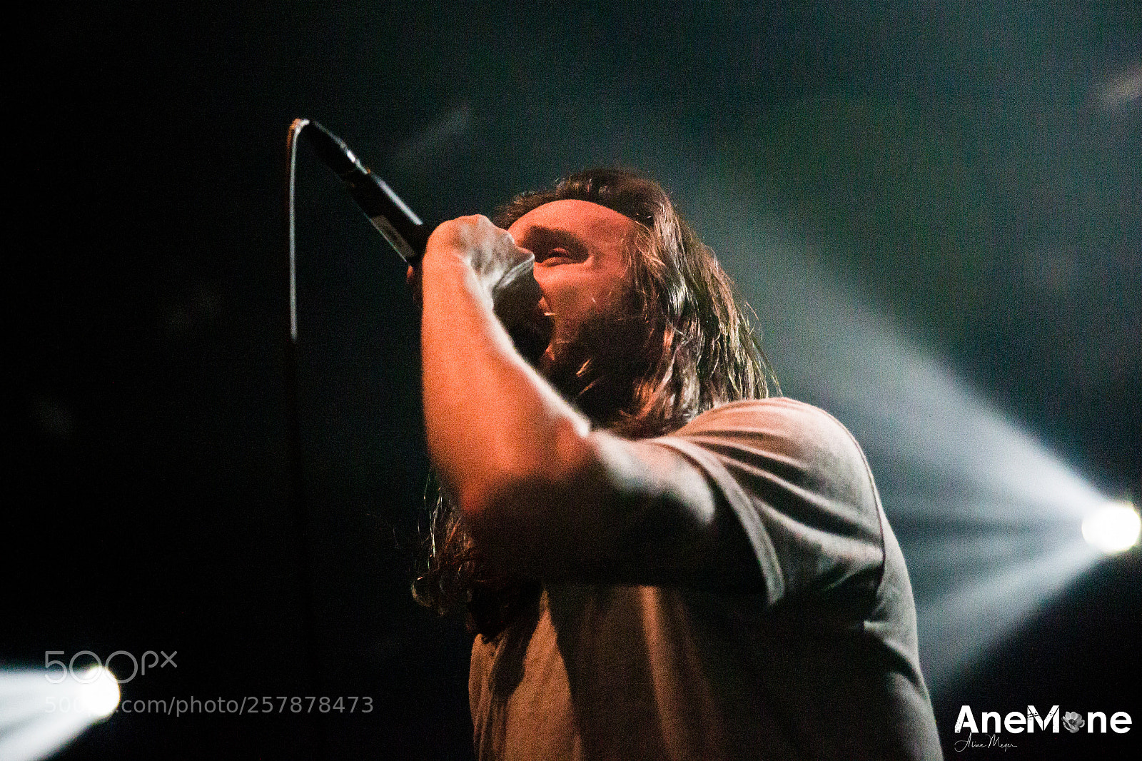 Canon EOS-1D X sample photo. Between the buried and photography
