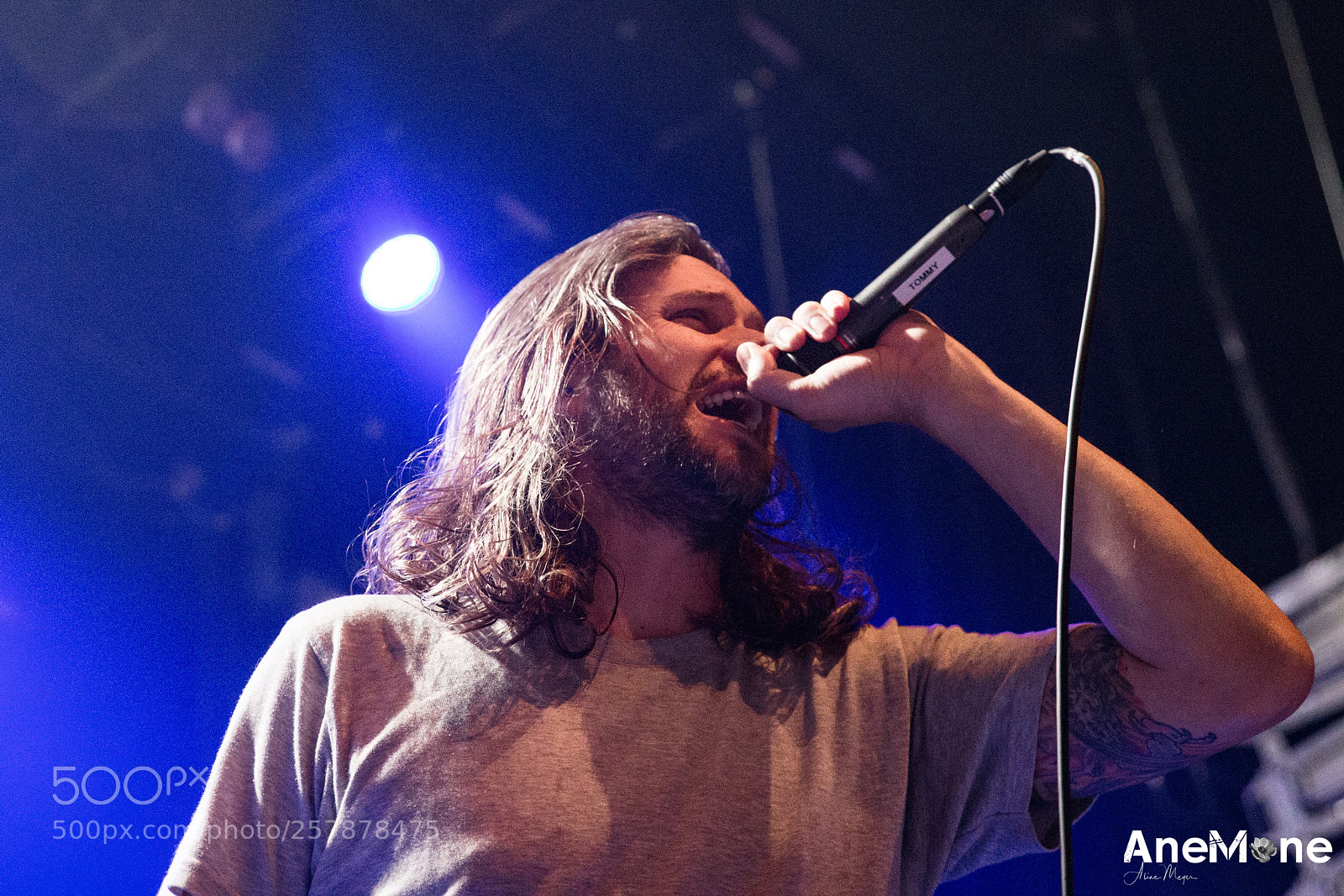 Canon EOS-1D X sample photo. Between the buried and photography