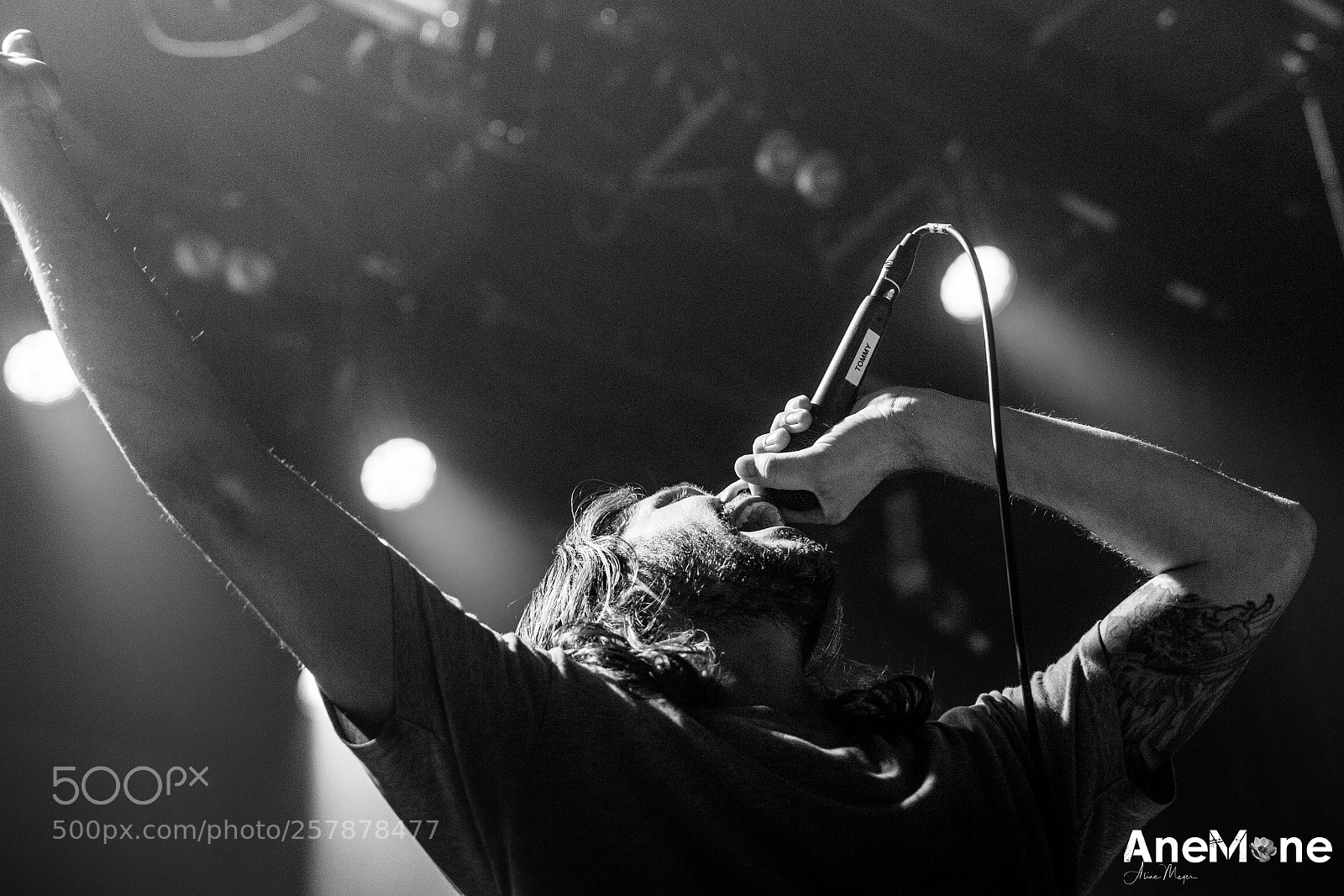 Canon EOS-1D X sample photo. Between the buried and photography