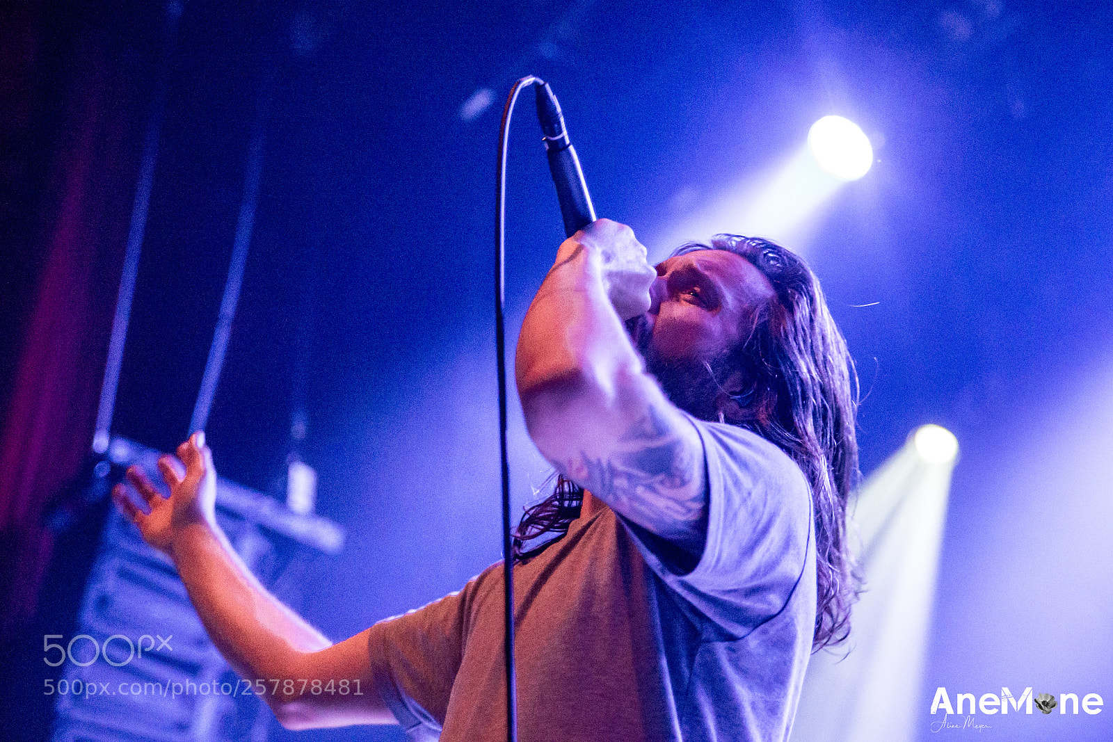 Canon EOS-1D X sample photo. Between the buried and photography